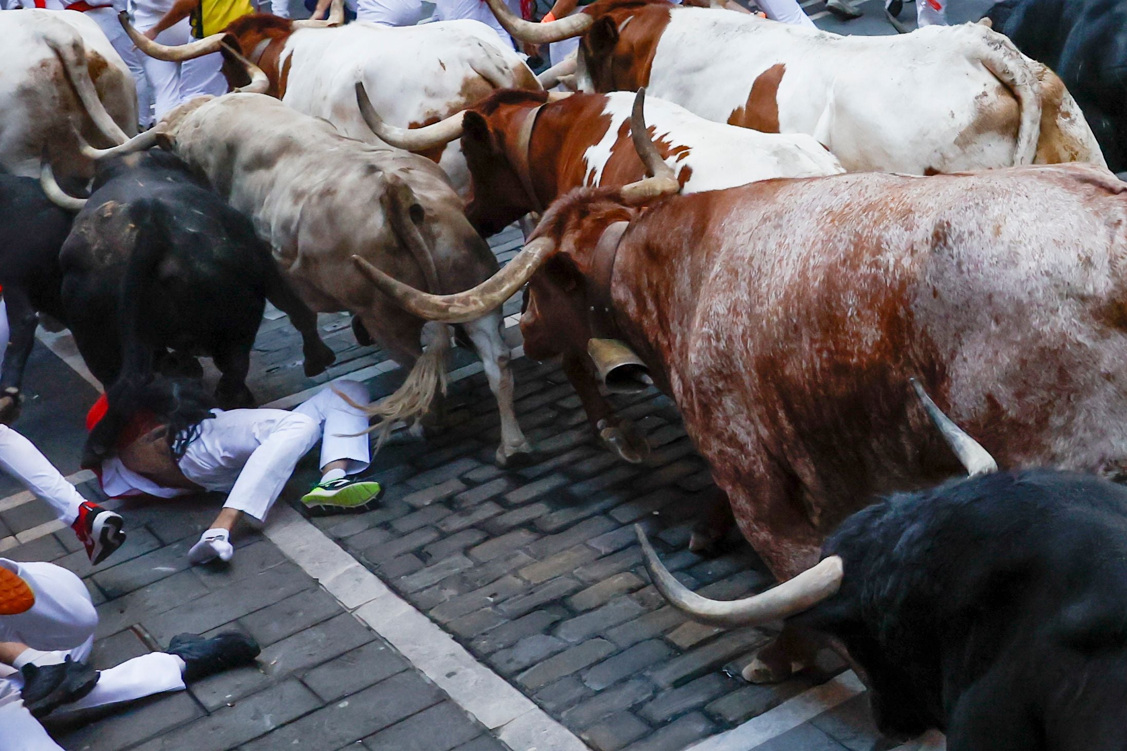 Läufer wird beim Stierrennen in Pamplona von einem Stier zu Boden gestoßen.