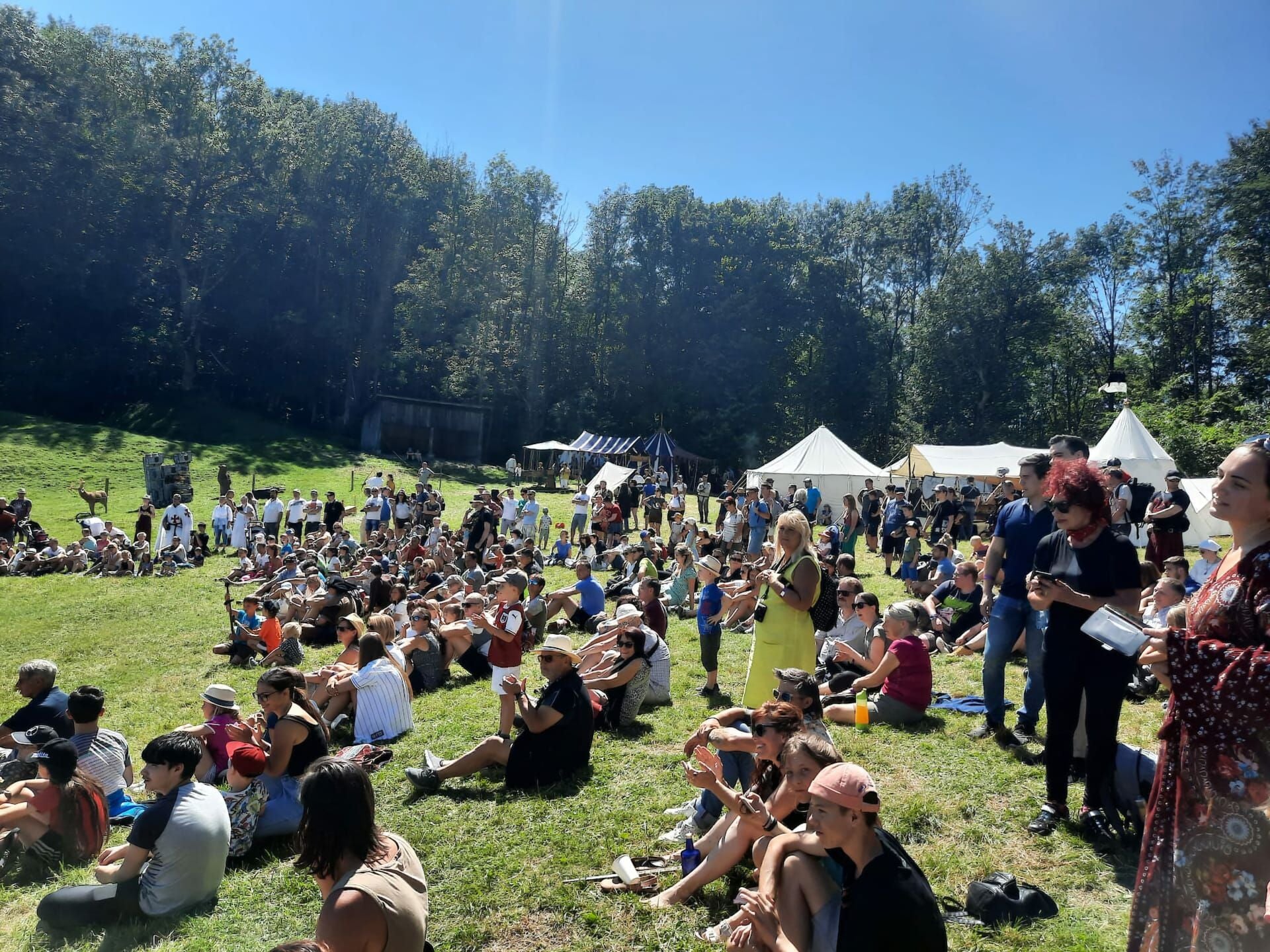 Viele Menschen sitzen und stehen auf einer Wiese bei einem Ritterfest mit Zelten im Hintergrund.