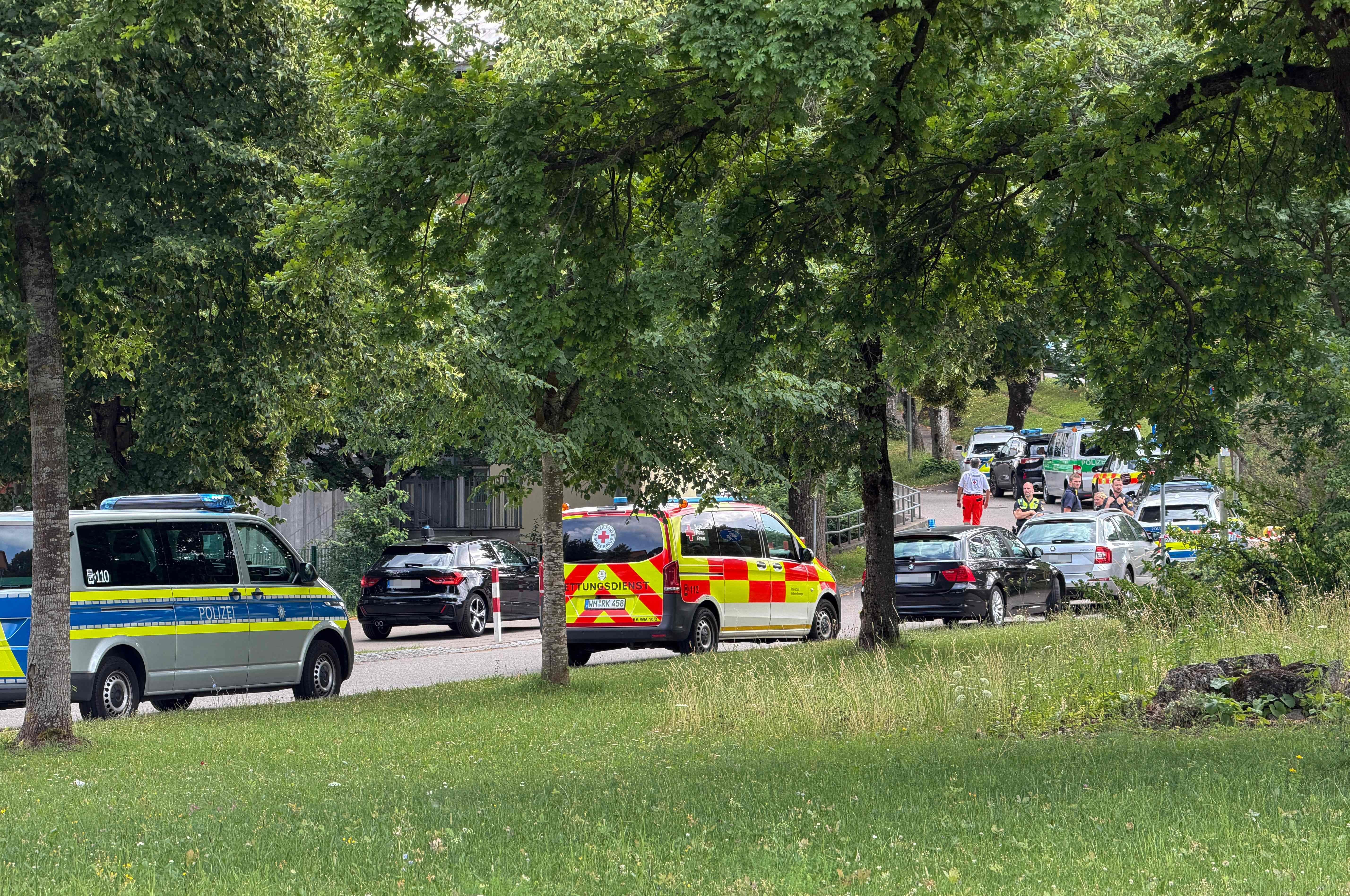 Mehrere Polizei- und Rettungsfahrzeuge stehen bei einem Einsatz an einer Straße neben Bäumen.