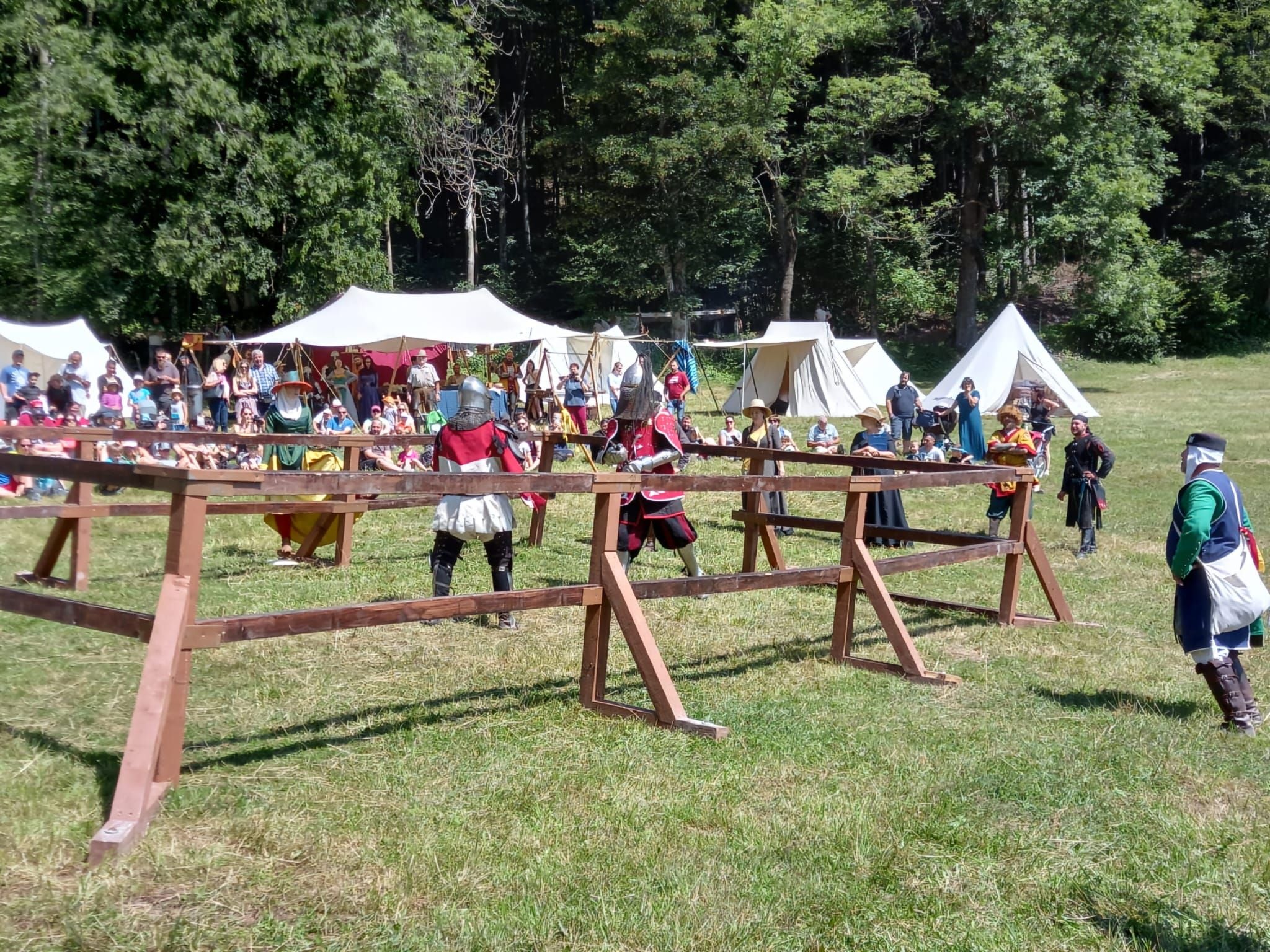 Mehrere Menschen in mittelalterlichen Kostümen kämpfen bei einem Ritterfest auf einer Wiese.