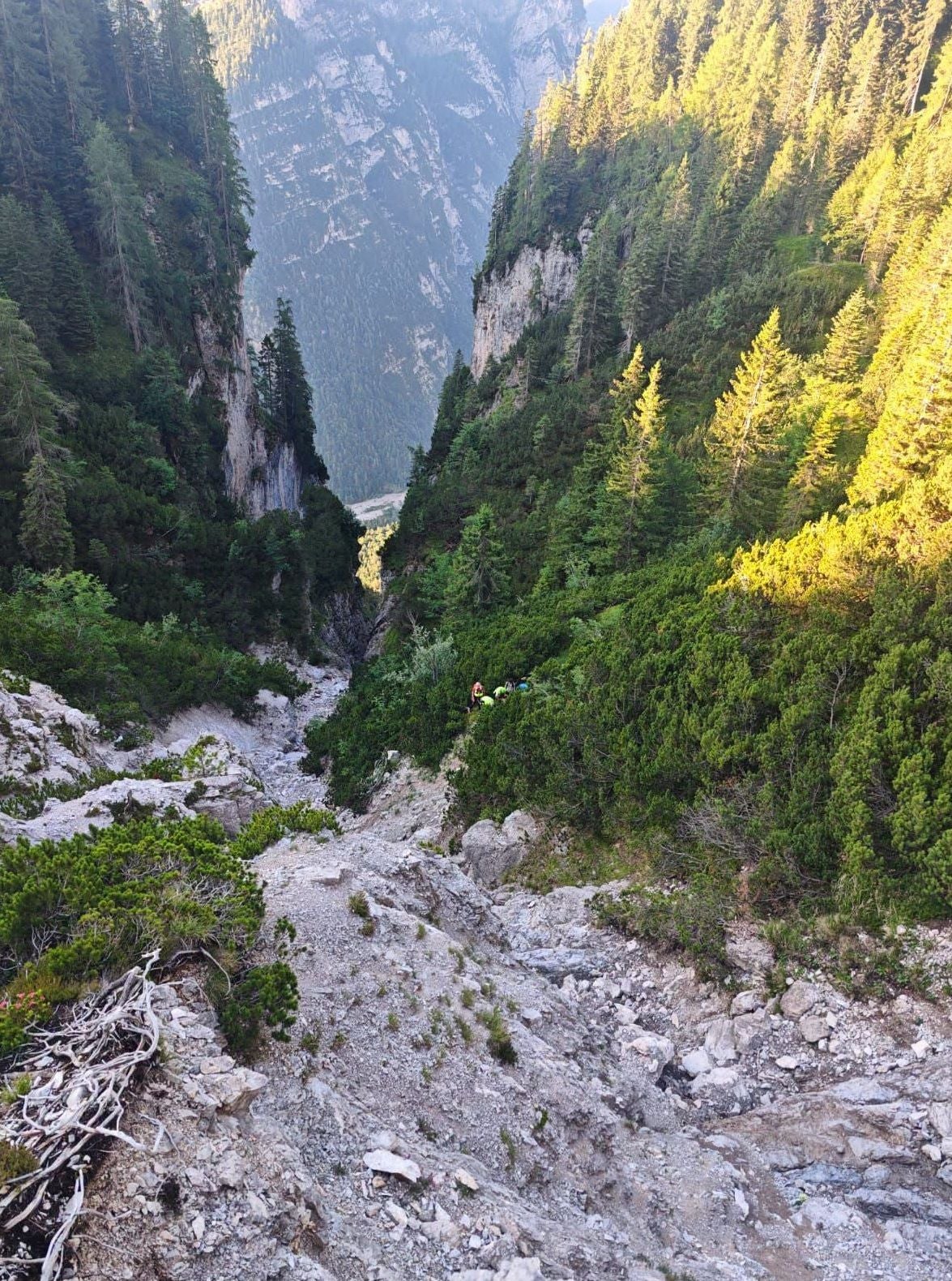 Blick in eine steile Bergschlucht mit Bäumen und Rettungskräften in heller Ausrüstung.