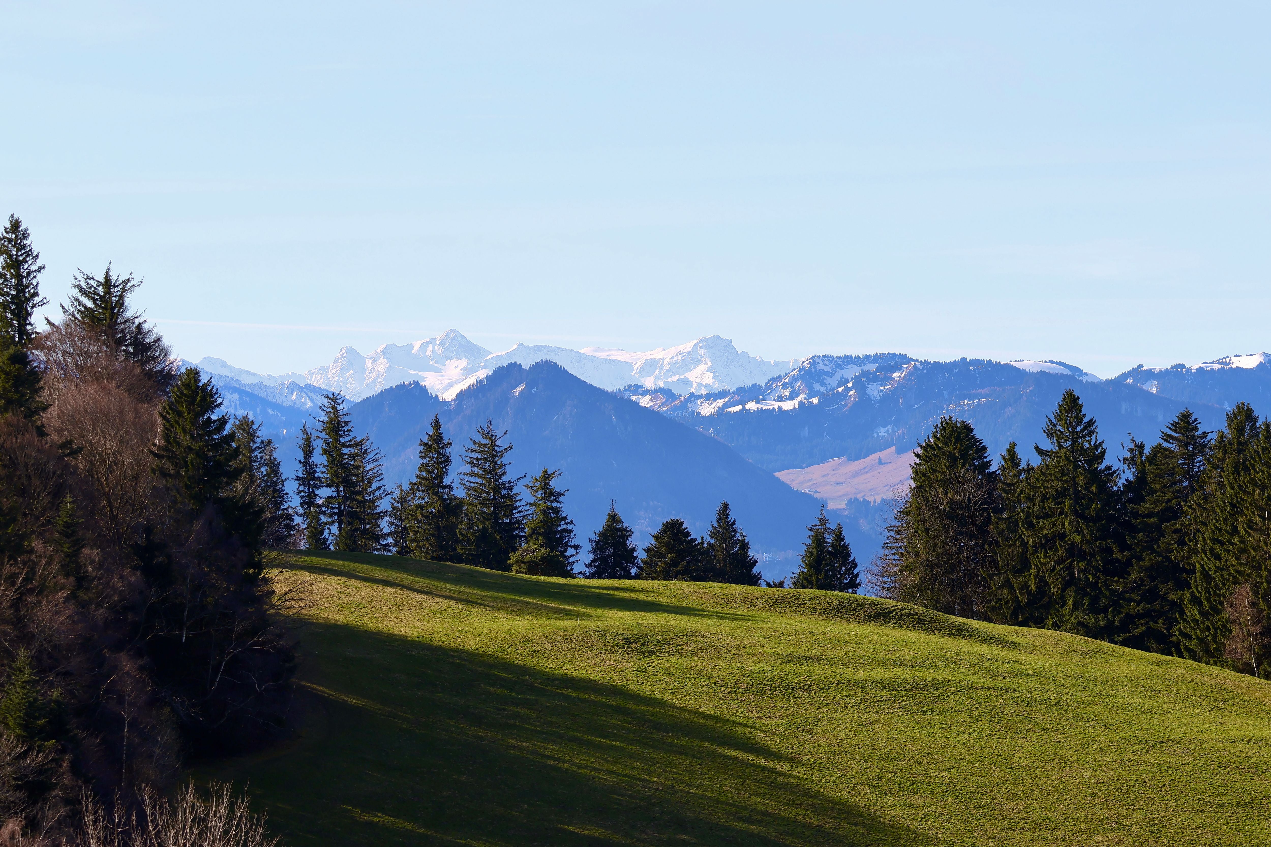 Grüne Wiese im Vordergrund, dahinter bewaldete Hügel und schneebedeckte Berge.