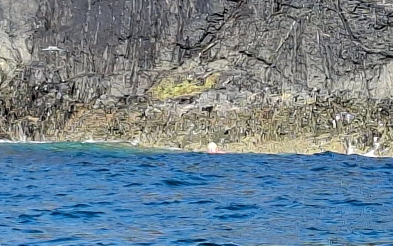 Ein Schwimmer mit Badekappe im Meer vor einer felsigen Küste.