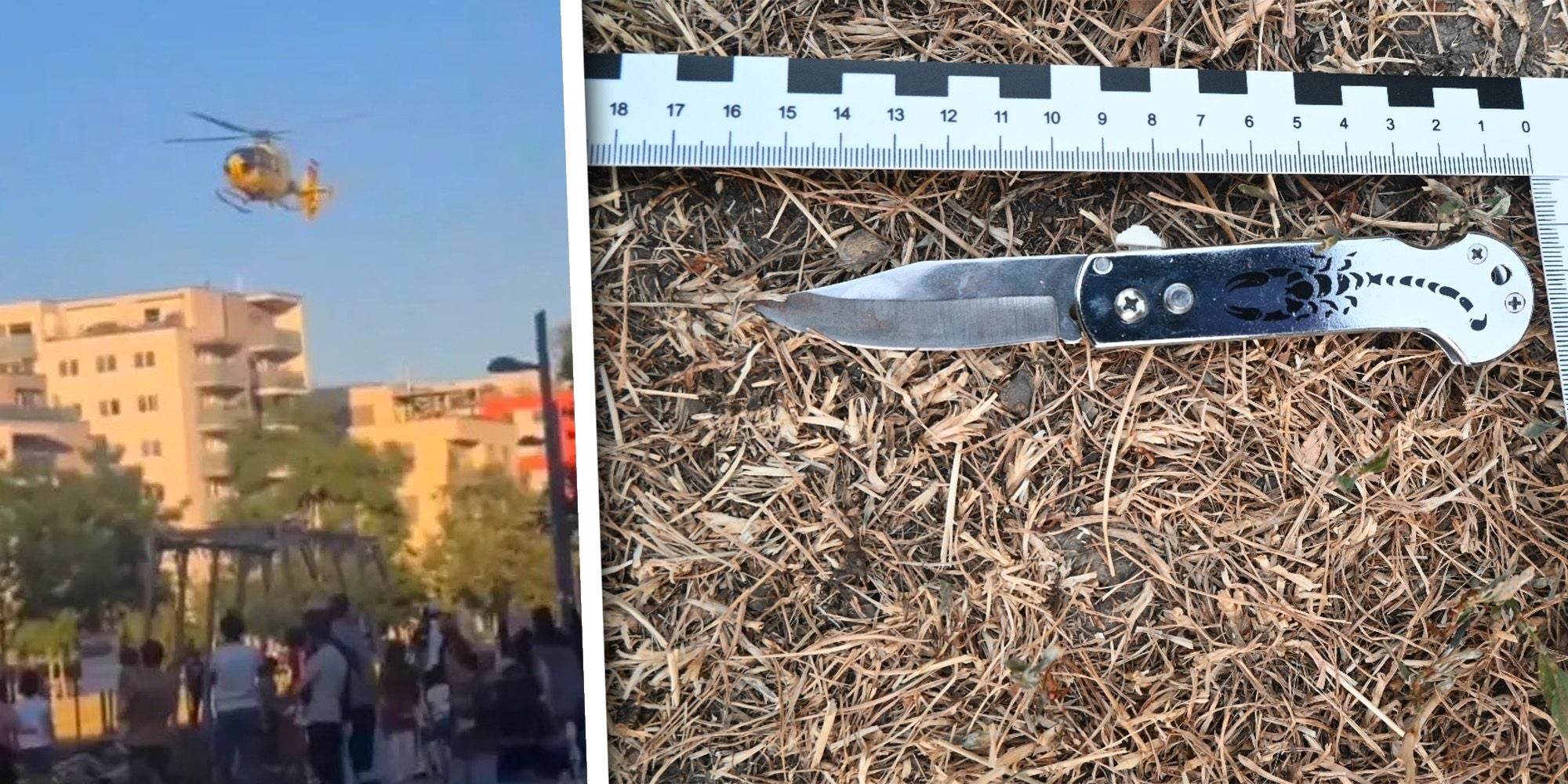Klappmesser mit Skorpionmuster liegt im trockenen Gras, daneben ein Maßband zur Vermessung. Der Einsatz mit Helicopter vor Ort.