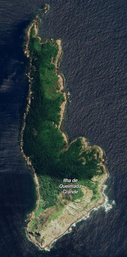 Satellitenbild der grünen Ilha de Queimada Grande, umgeben vom Meer.