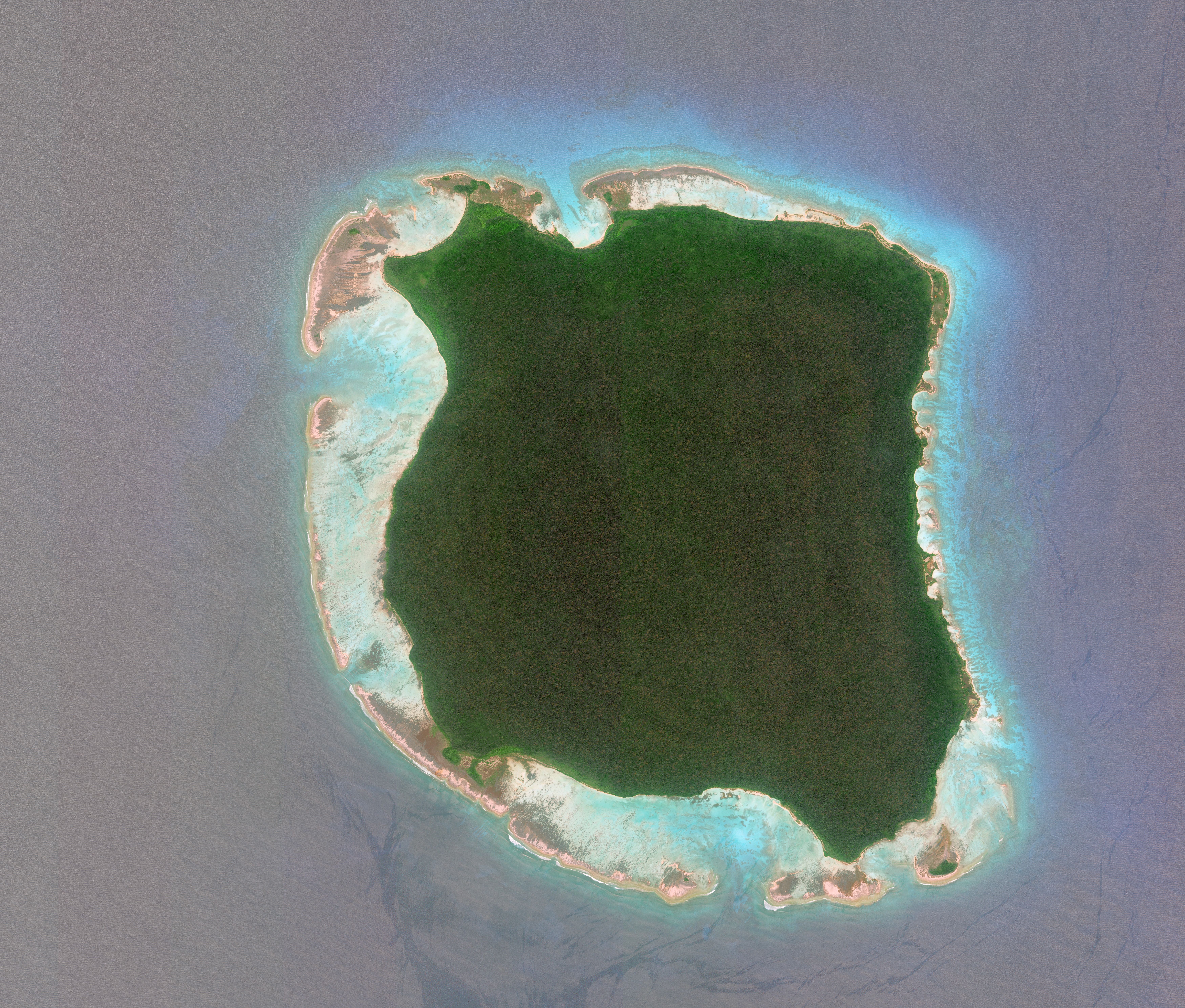 Satellitenbild einer dicht bewaldeten Insel mit hellem Sandstrand und türkisfarbenem Wasser.