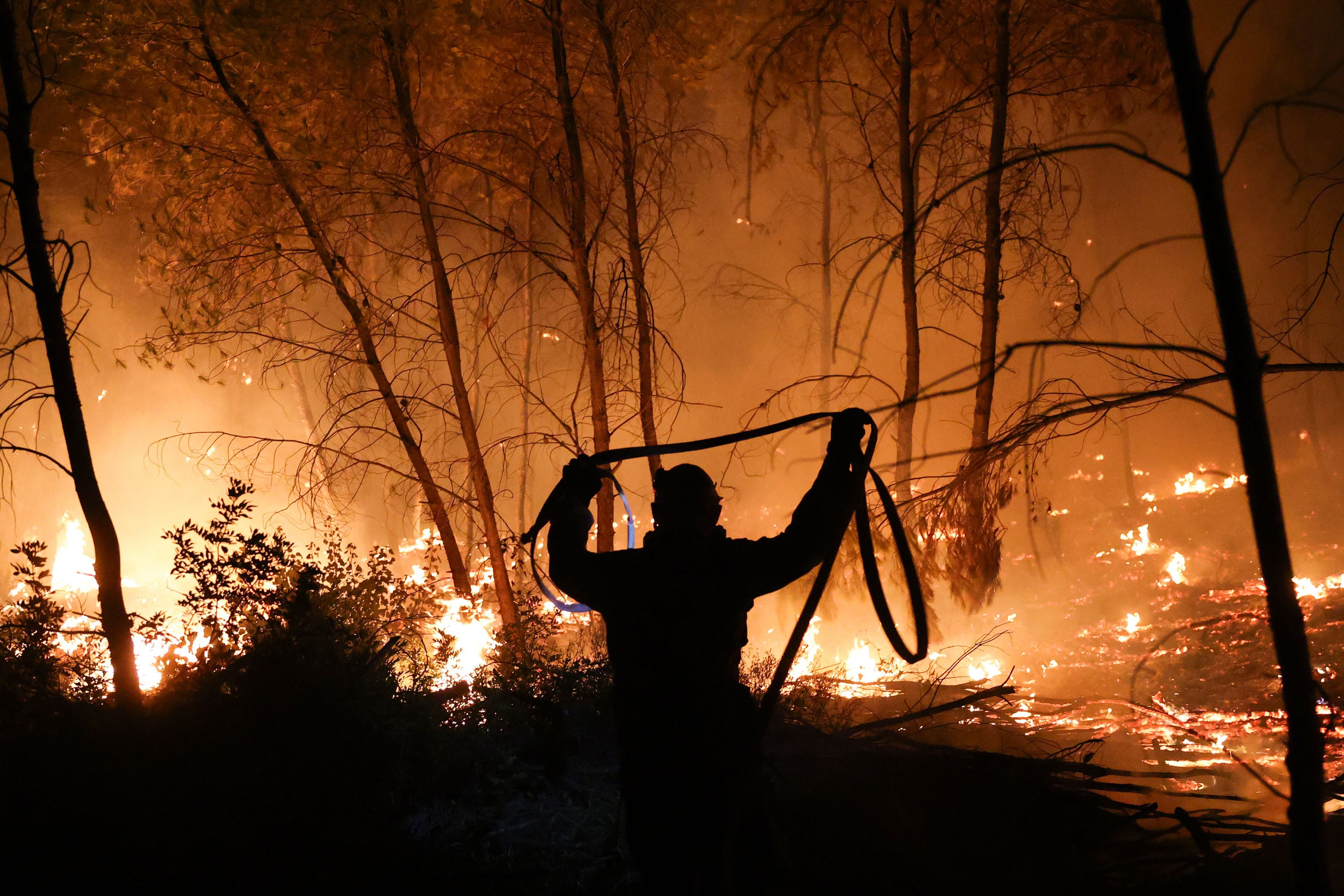 Ein Feuerwehrmann bekämpft bei Nacht einen Waldbrand mit einem Feuerwehrschlauch.