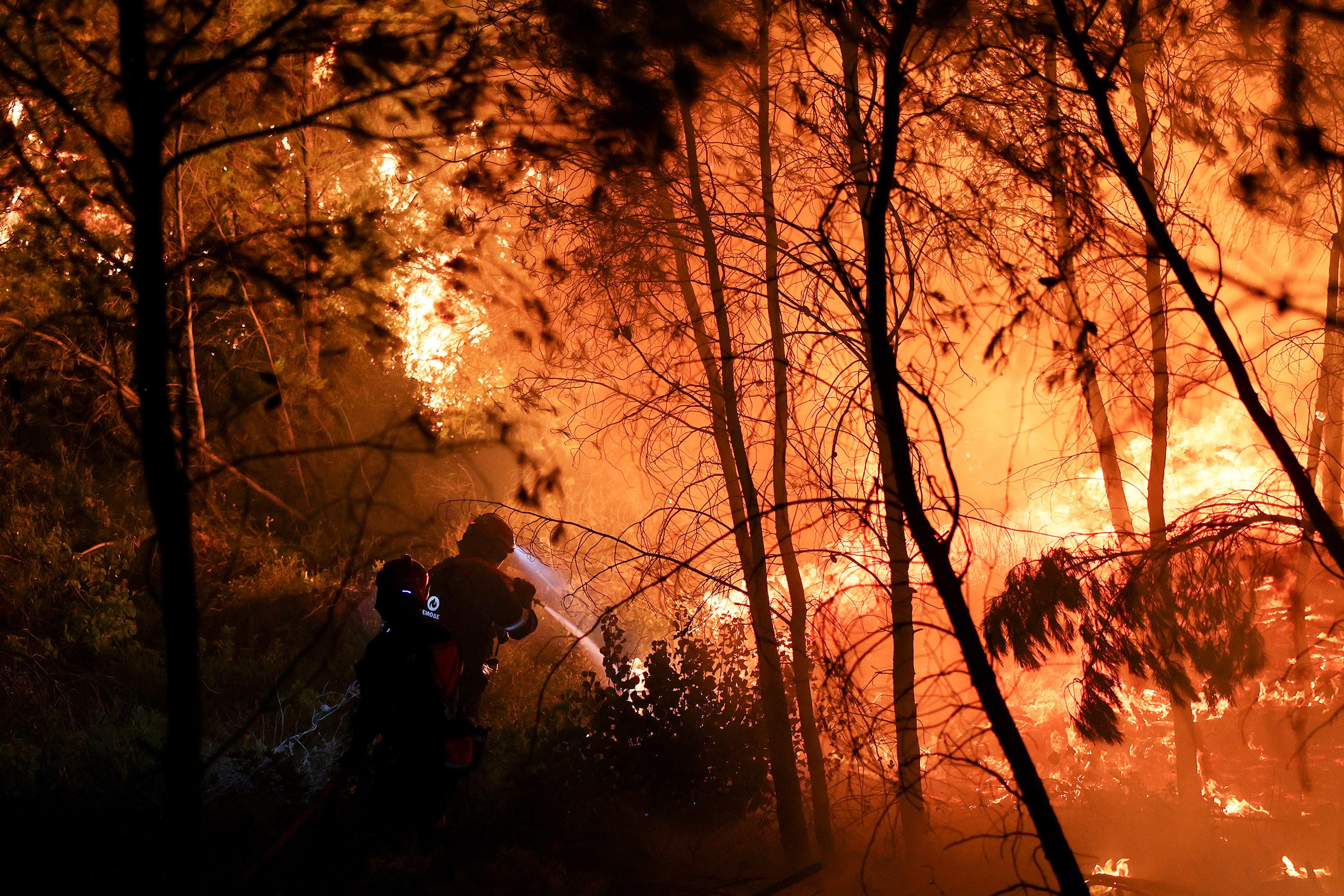 Feuerwehrleute bekämpfen einen Waldbrand in einem lodernden, brennenden Wald.