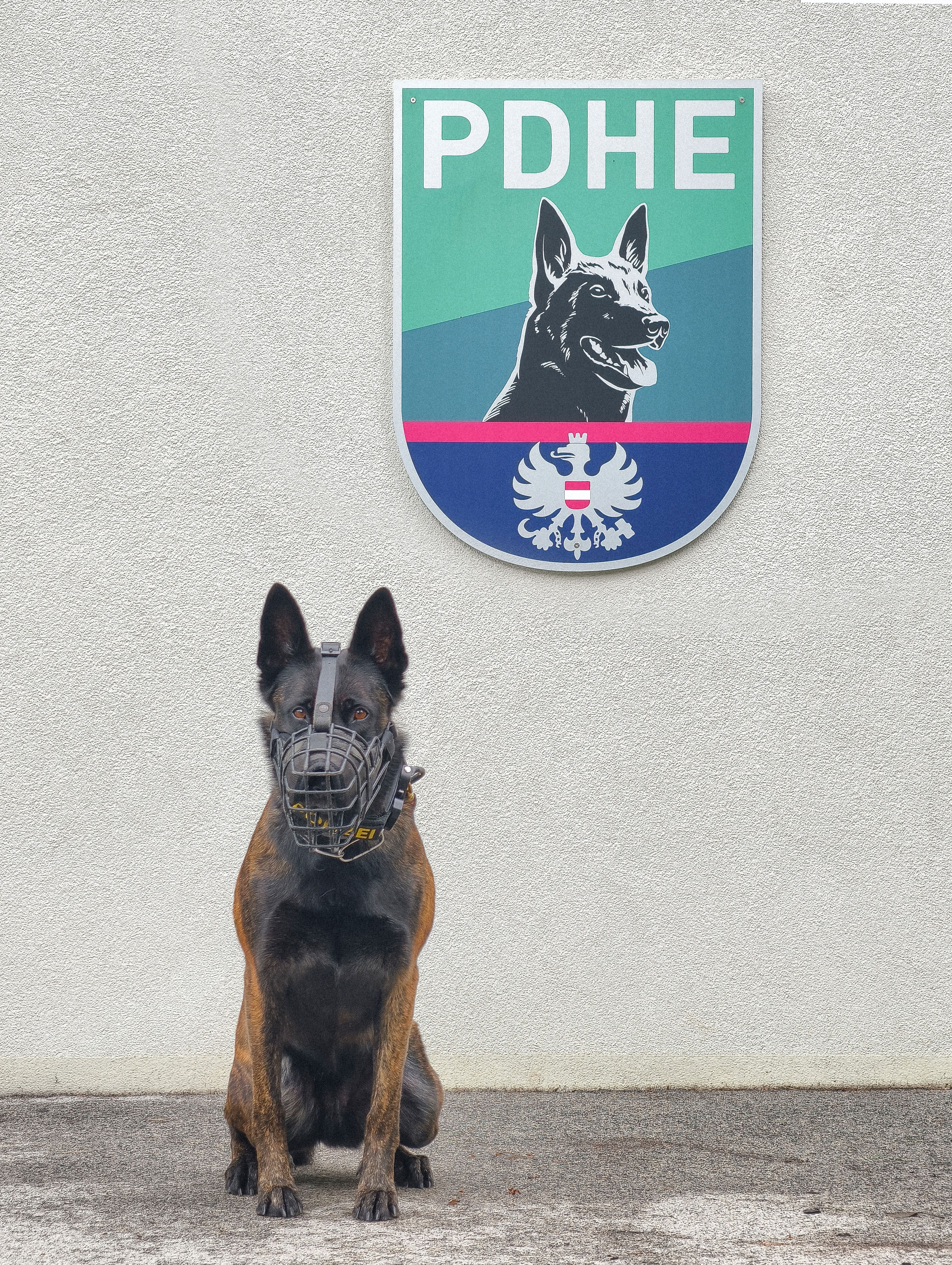 Polizeispürhung "Karla"entdeckte mehrere nicht regisitrierte Waffen.