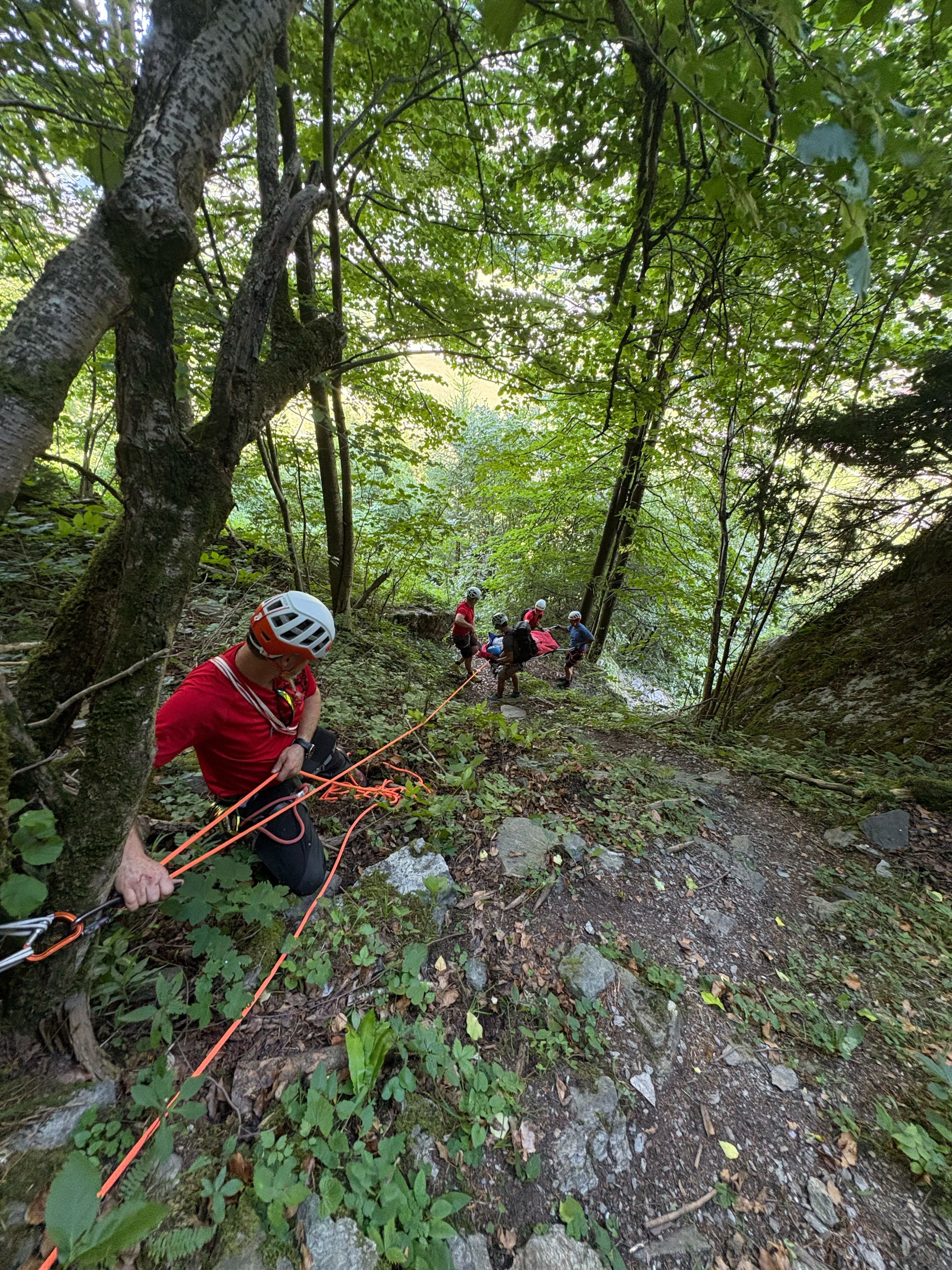 Mehrere Personen mit Kletterausrüstung seilen sich in einem bewaldeten Hang ab.