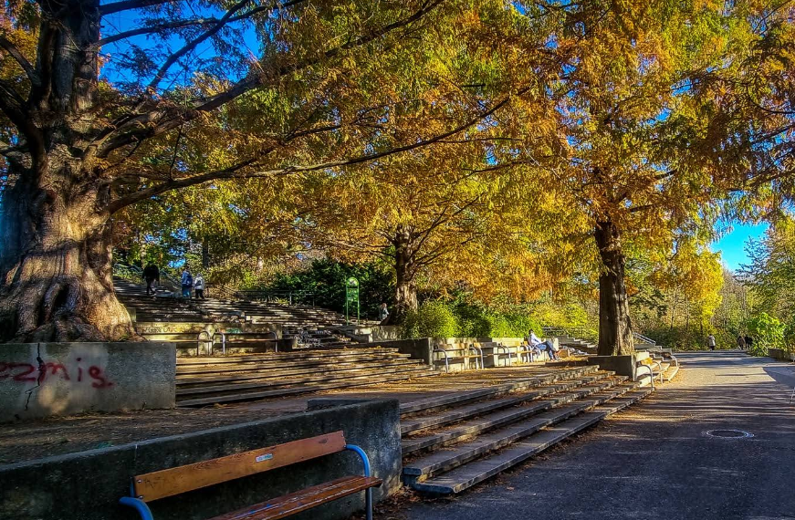 Der Vorfall ereignete sich in der Filmteichstraße im Kurpark Oberlaa.