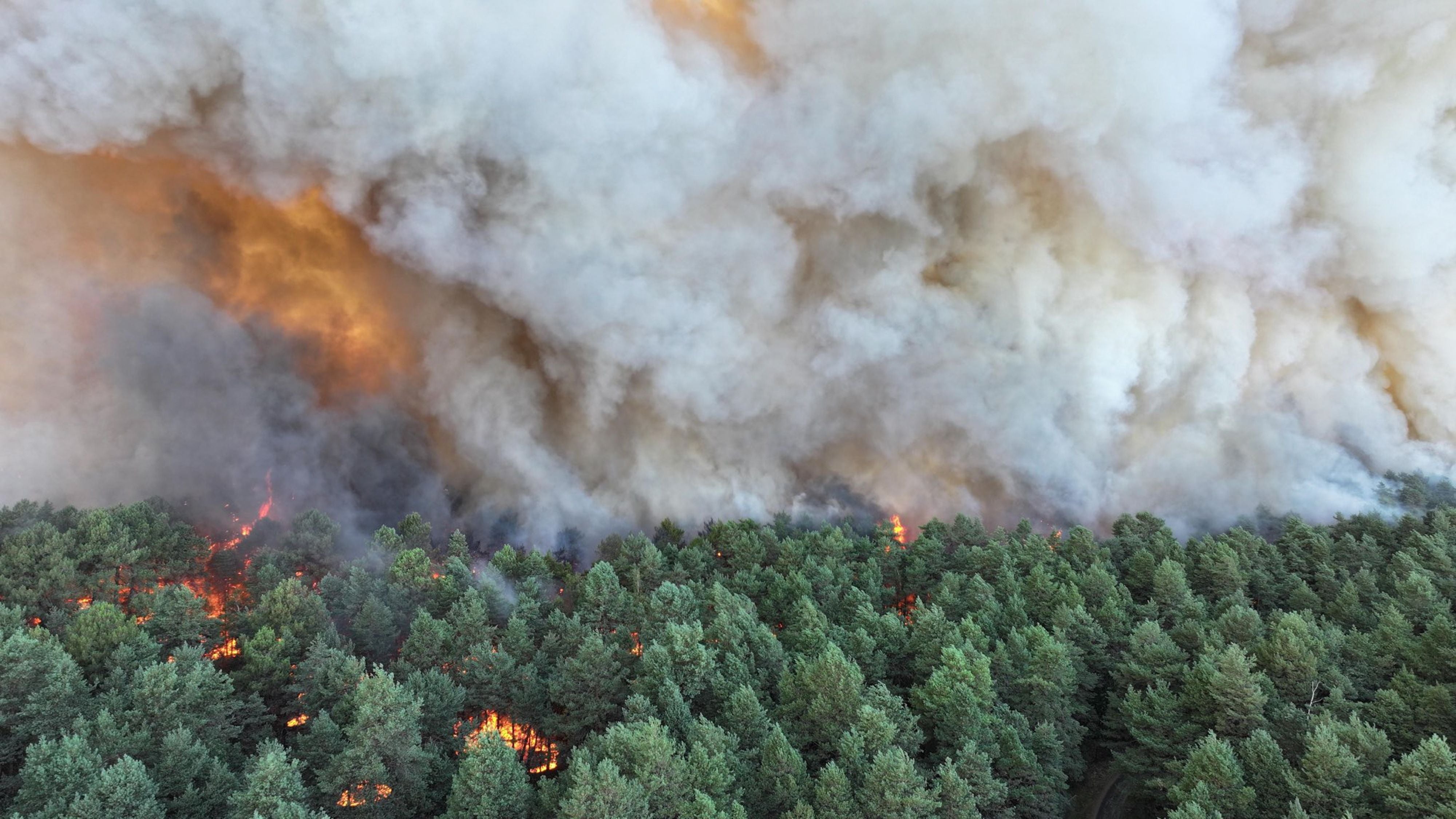 Großflächiger Waldbrand mit dichtem Rauch in einem Nadelwald, Feuerfront und Flammen sichtbar.