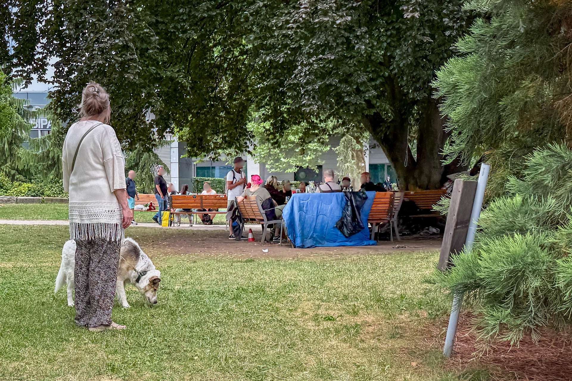 Eine Frau mit Hund steht im Park, im Hintergrund trinken mehrere Menschen auf Bänken Alkohol.