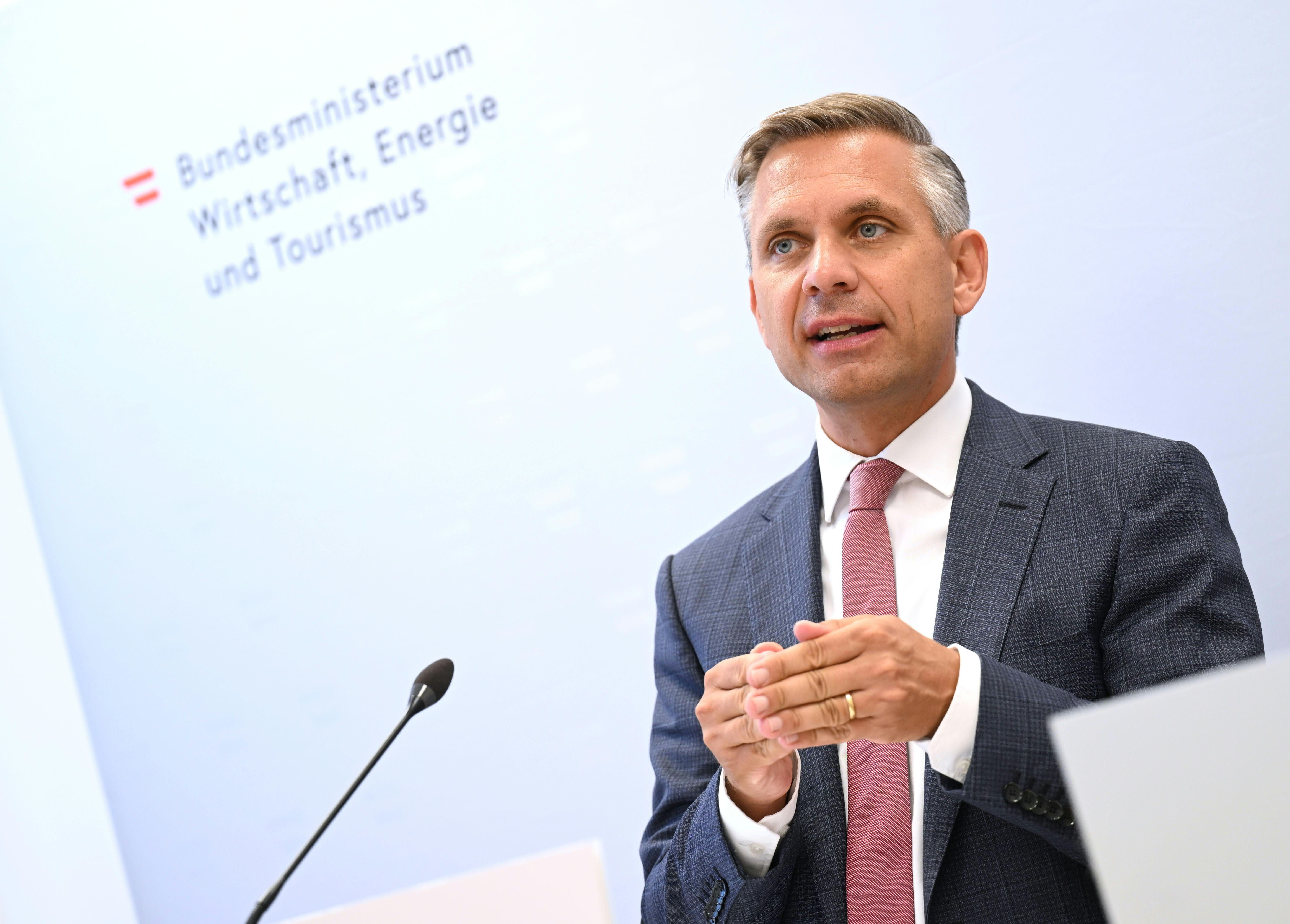 Ein Mann im Anzug spricht bei einer Pressekonferenz vor dem Logo des Wirtschaftsministeriums.