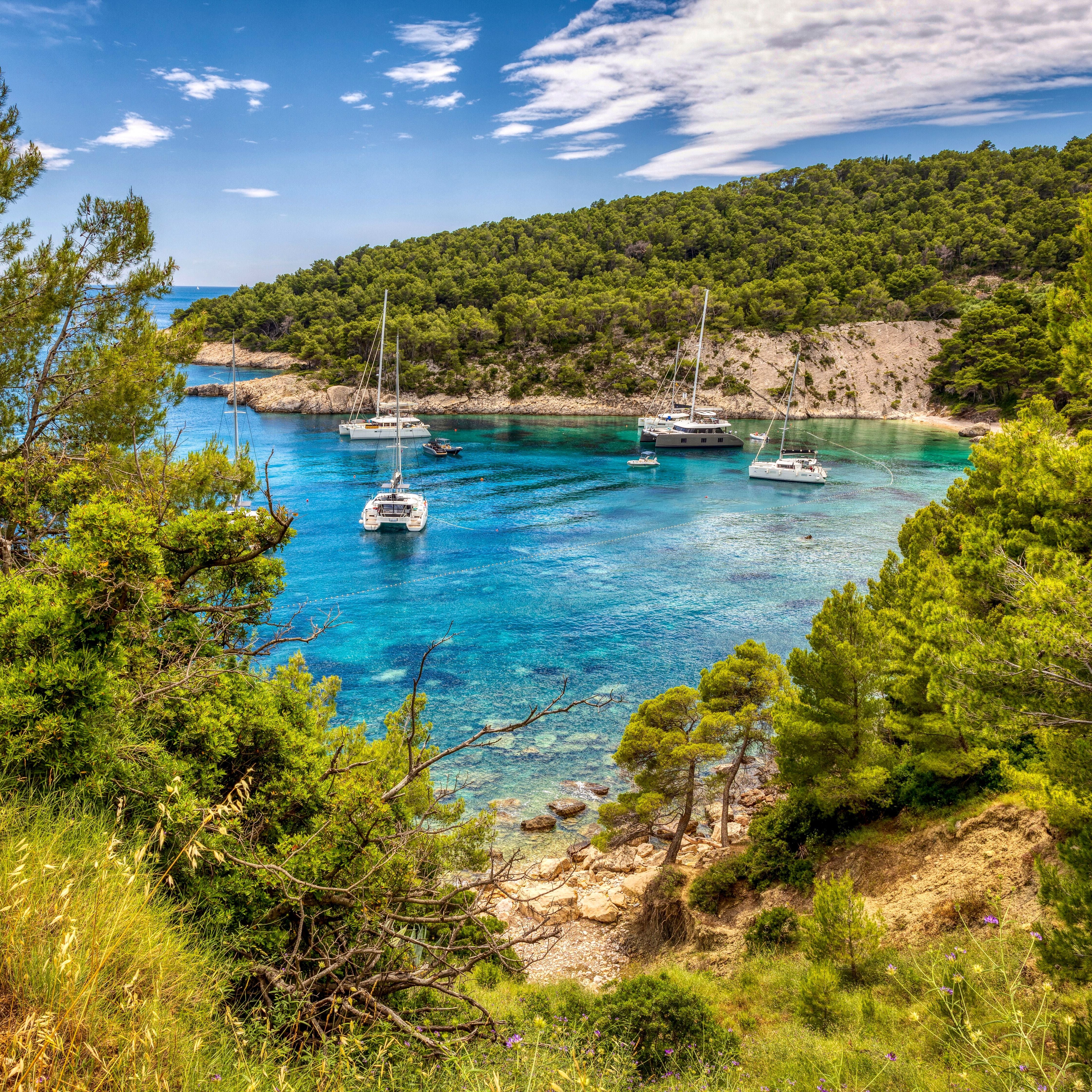 Bucht mit Segelbooten im türkisblauen Wasser, umgeben von Pinien auf Hvar, Kroatien.