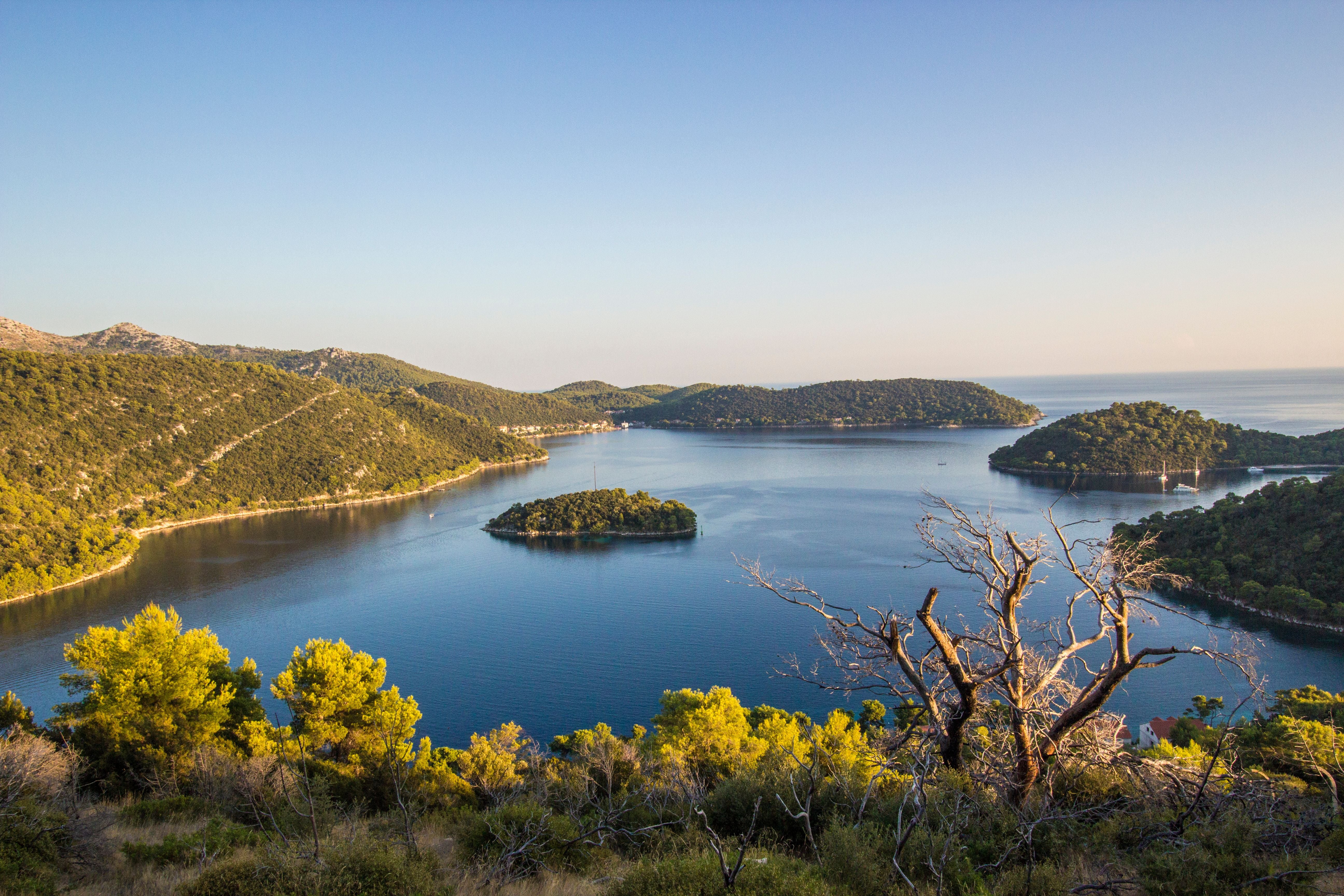 Blick auf eine bewaldete Insel und ruhiges Meer bei Lastovo, Kroatien, im Sonnenlicht.