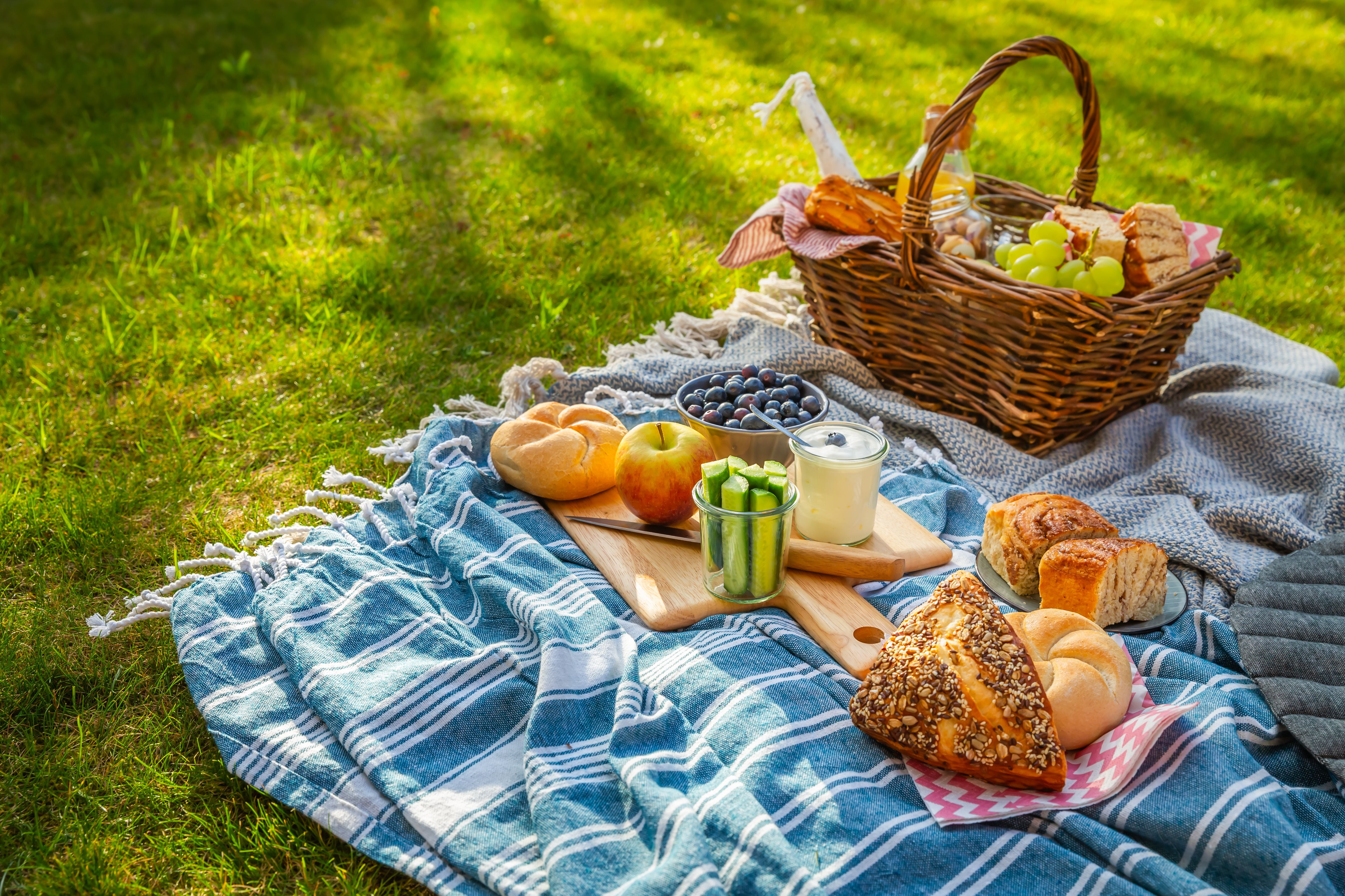 Picknickdecke mit Broten, Obst, Joghurt und Picknickkorb auf grünem Rasen.