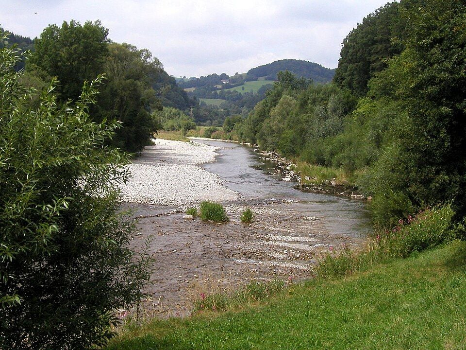 Der 74-Jährige ging in die Traisen schwimmen.