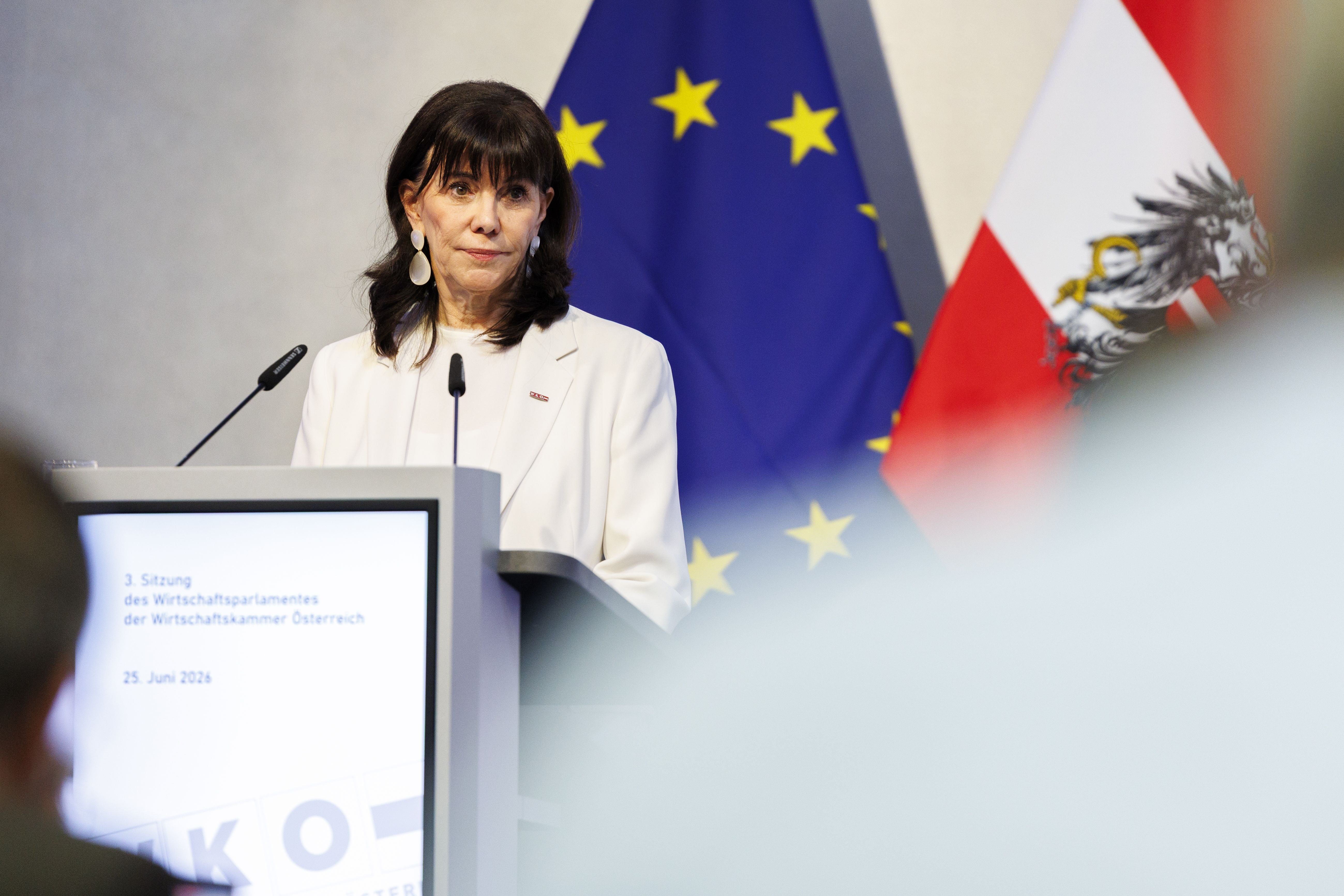 Frau am Rednerpult vor EU- und Österreich-Flagge bei einer WKO-Sitzung in Wien.
