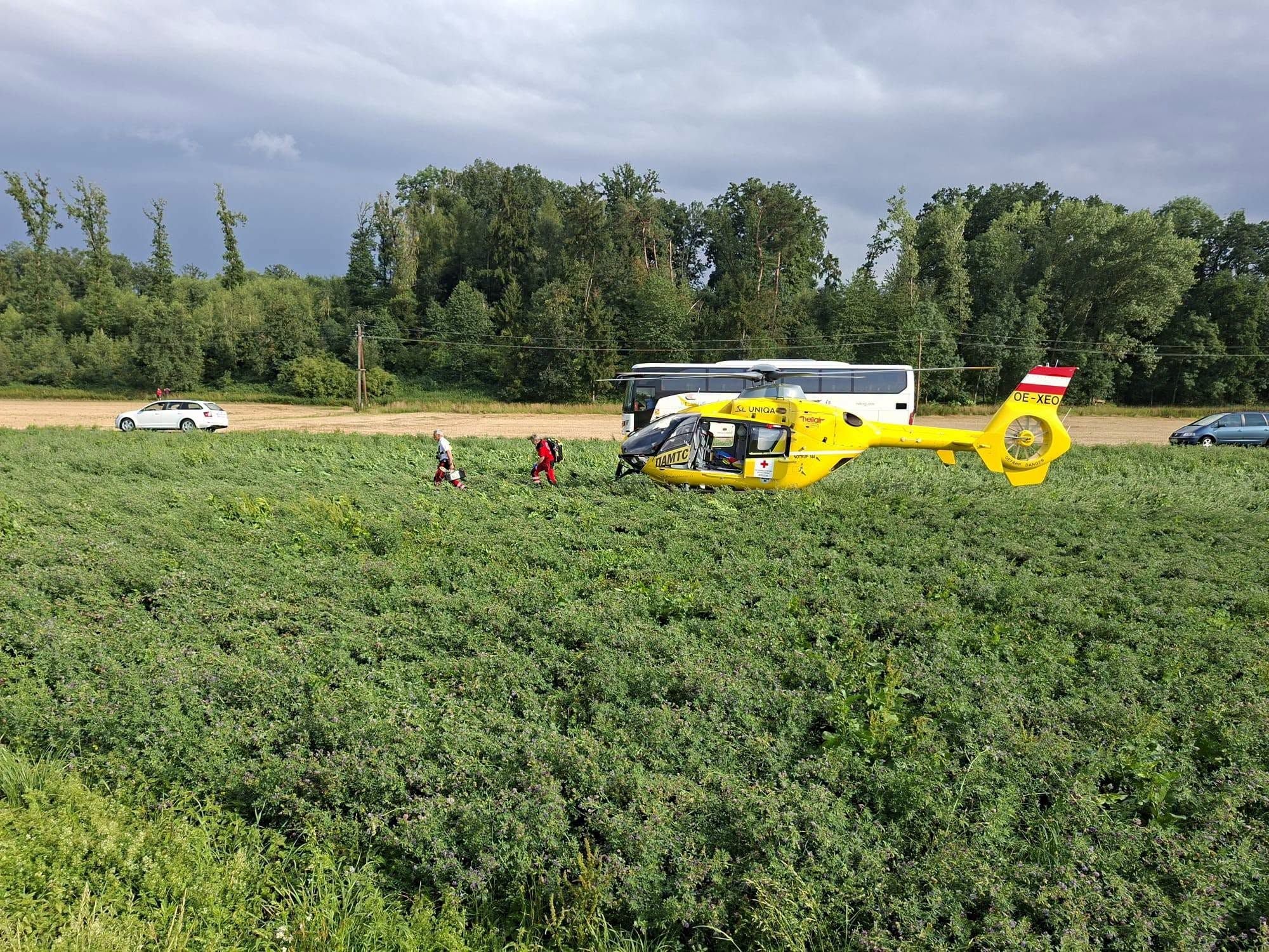Ein gelber Rettungshubschrauber landet auf einem Feld, zwei Sanitäter eilen zu Fuß dorthin.