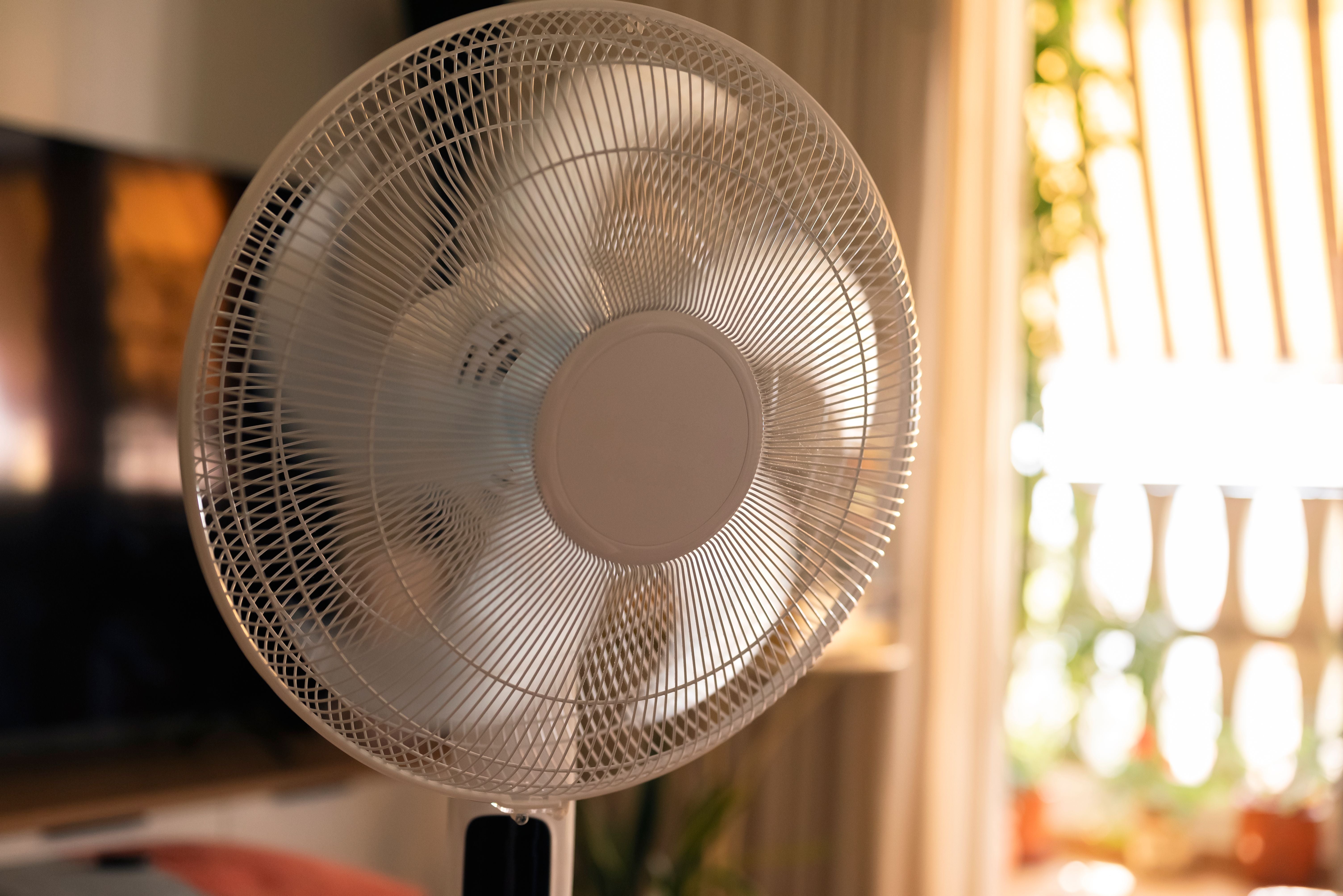 Ein weißer Standventilator steht in einem hellen, unscharfen Wohnzimmer bei Tageslicht.