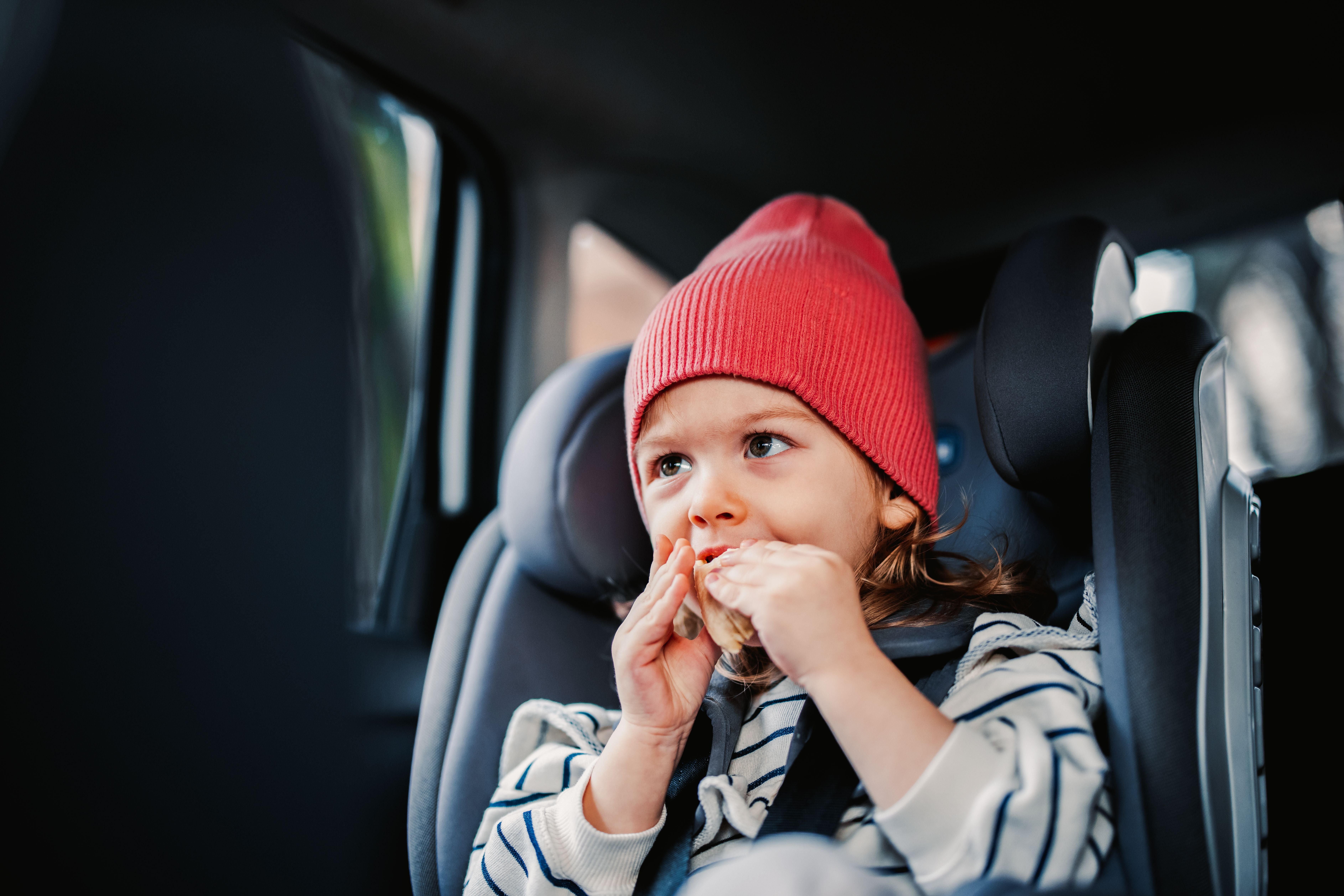 Kleines Mädchen mit roter Mütze isst ein Sandwich im Kindersitz im Auto.