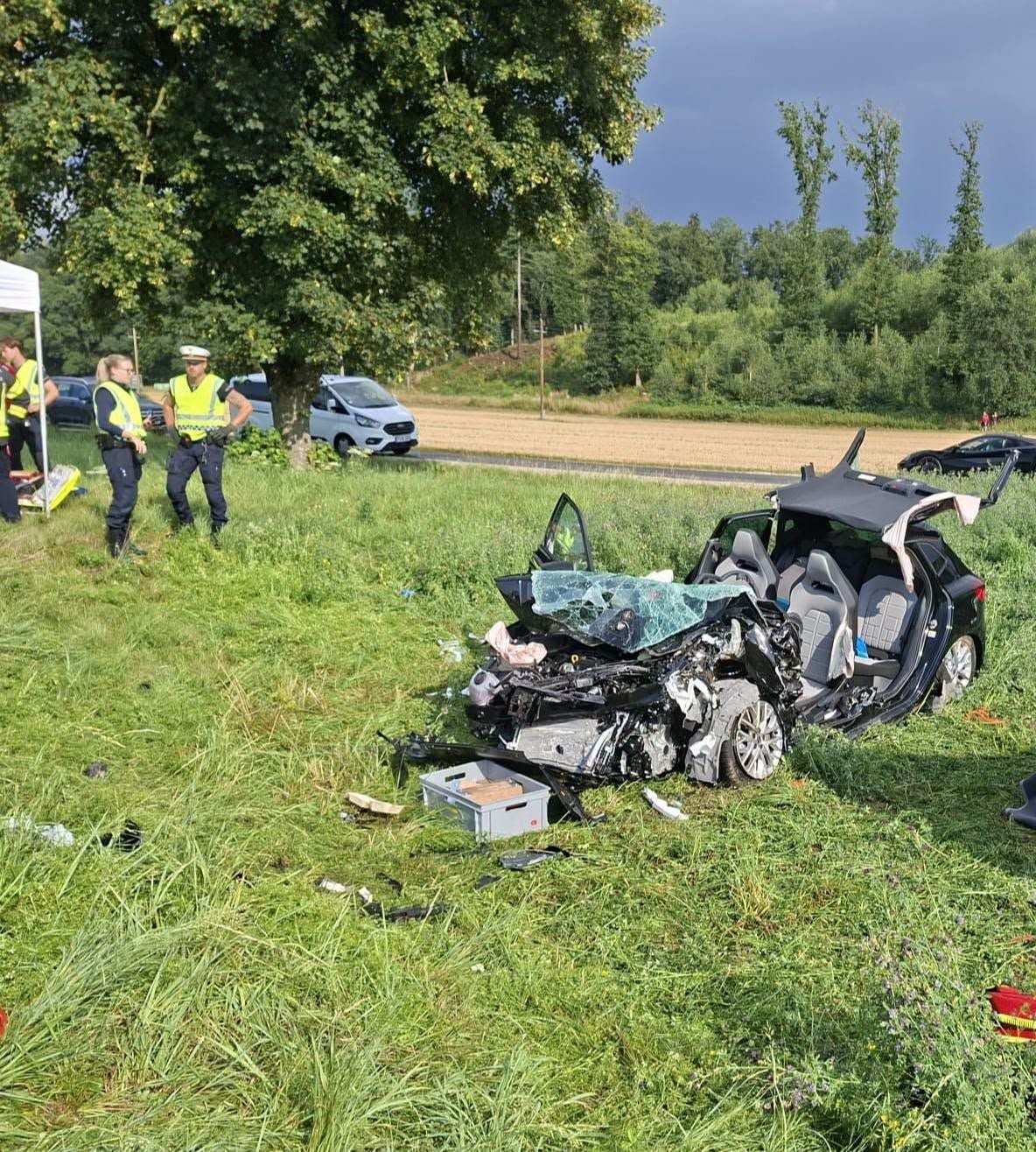 Schwer beschädigtes Auto nach Unfall auf Wiese, Polizisten stehen im Hintergrund.