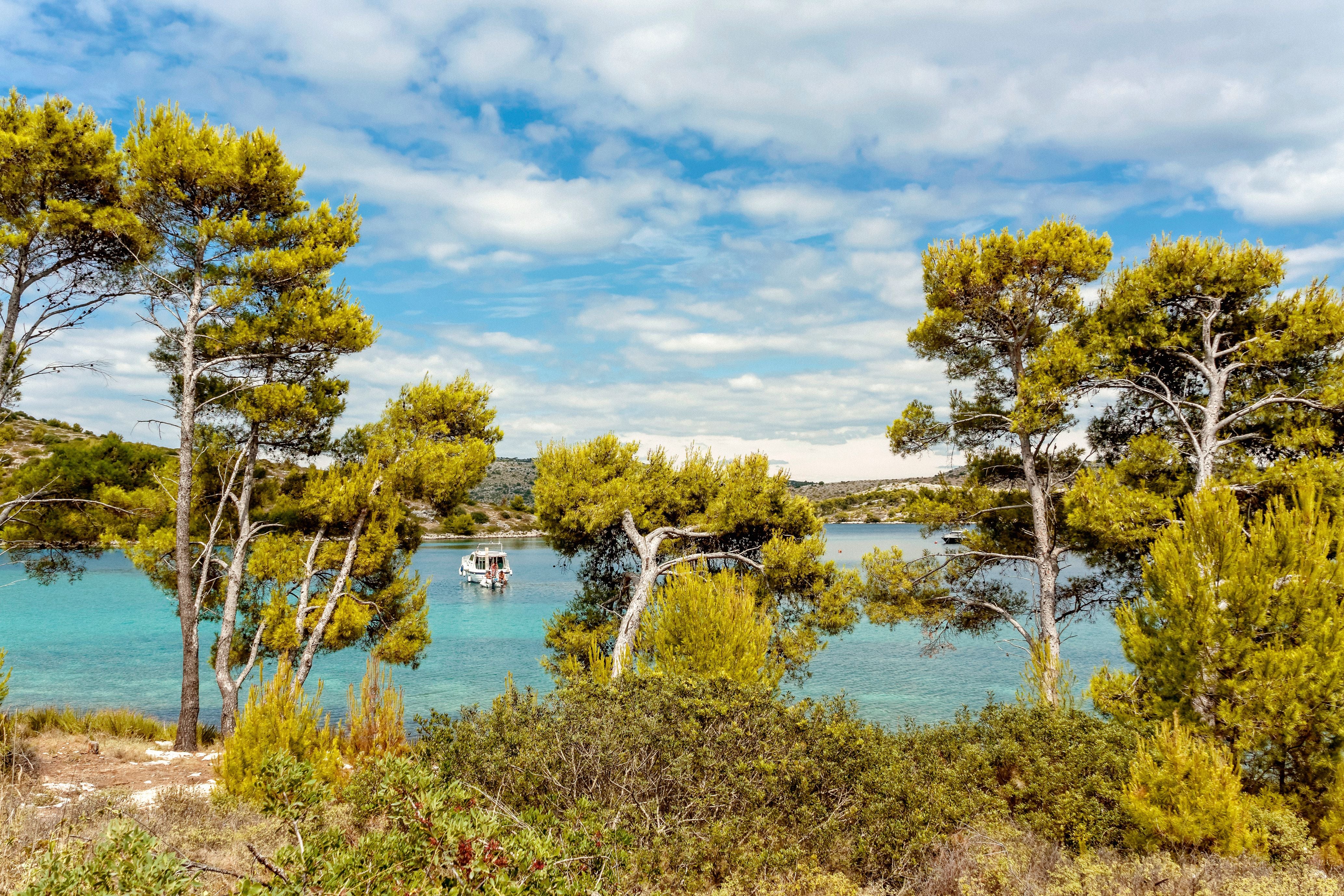Yacht ankert in der türkisblauen Mir-Bucht hinter Pinienbäumen auf Dugi Otok, Kroatien.