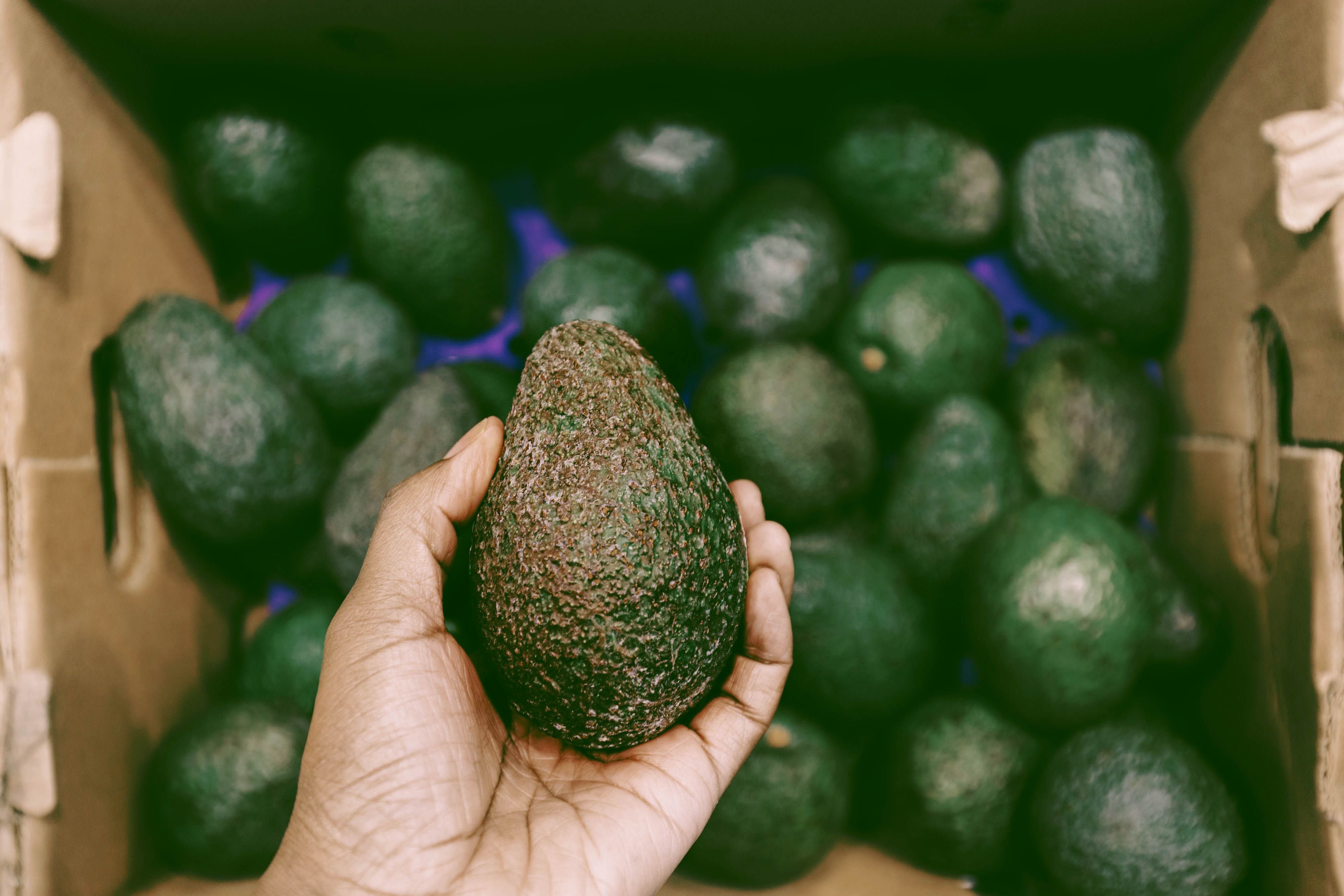 Hand hält eine Avocado vor einer Kiste voller weiterer Avocados im Supermarkt.