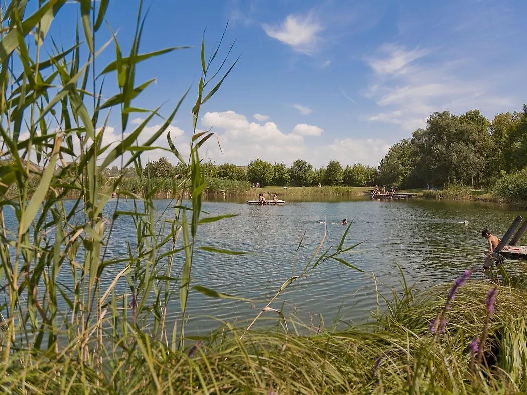 Menschen baden in einem Naturteich mit Stegen, umgeben von Schilf und Bäumen, unter blauem Himmel.