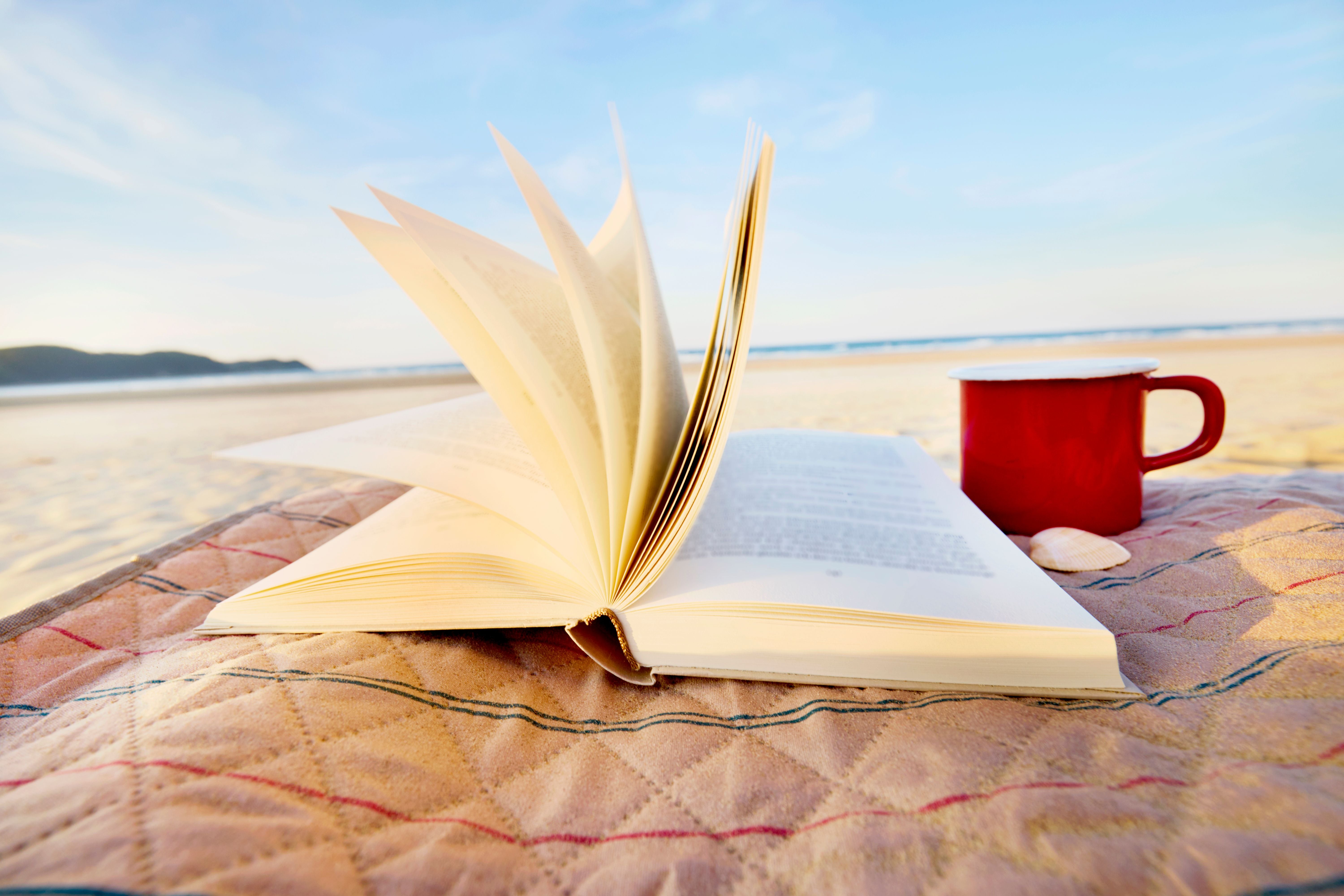 Aufgeschlagenes Buch und rote Tasse auf einer Decke am Sandstrand bei sonnigem Wetter.