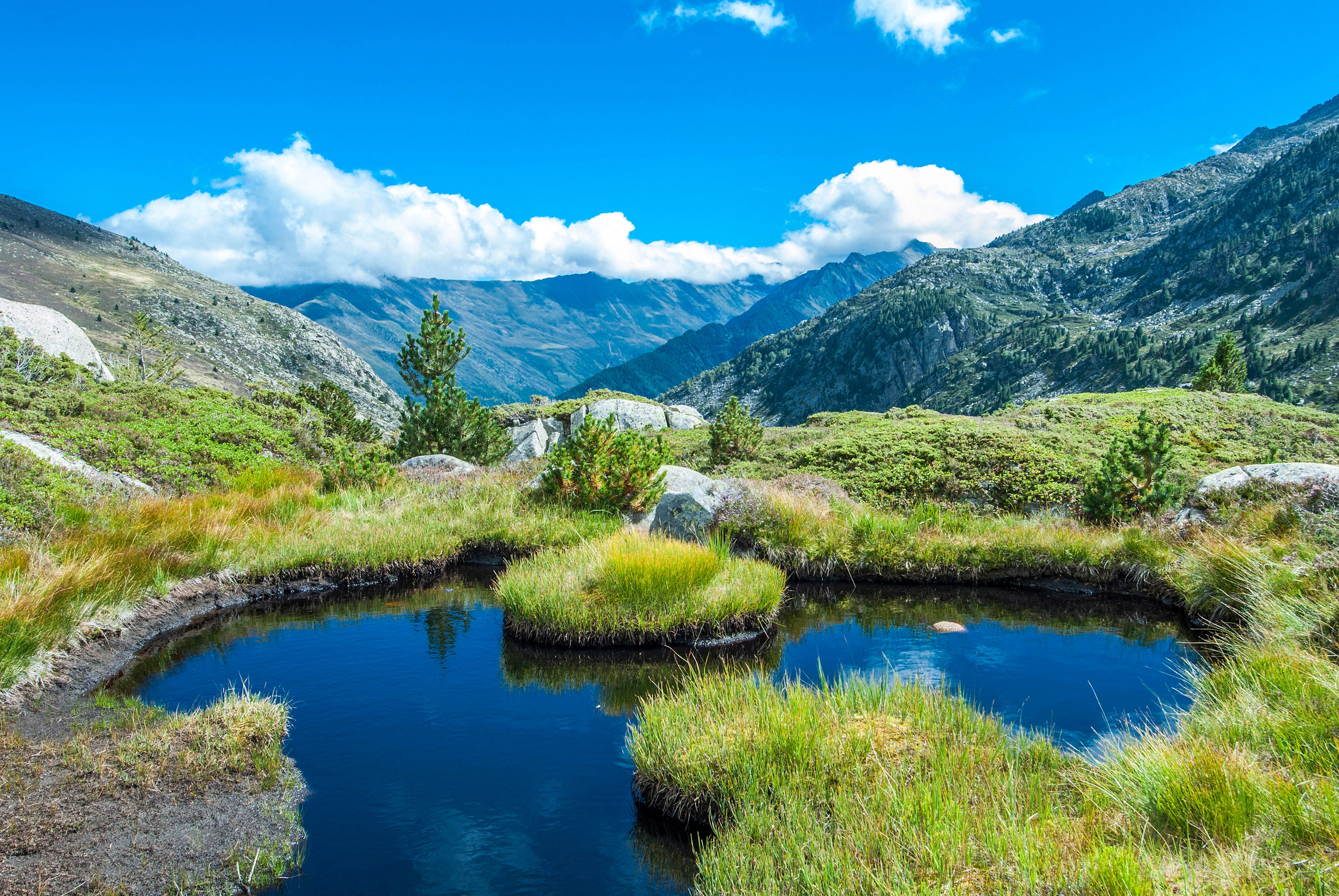 Kleiner Teich mit Grasinseln in den Pyrenäen vor bewaldeten Bergen und blauem Himmel.