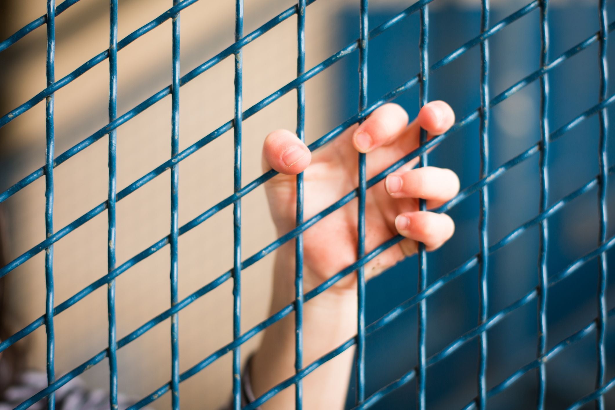 Eine Kinderhand greift durch einen blauen Maschendrahtzaun.
