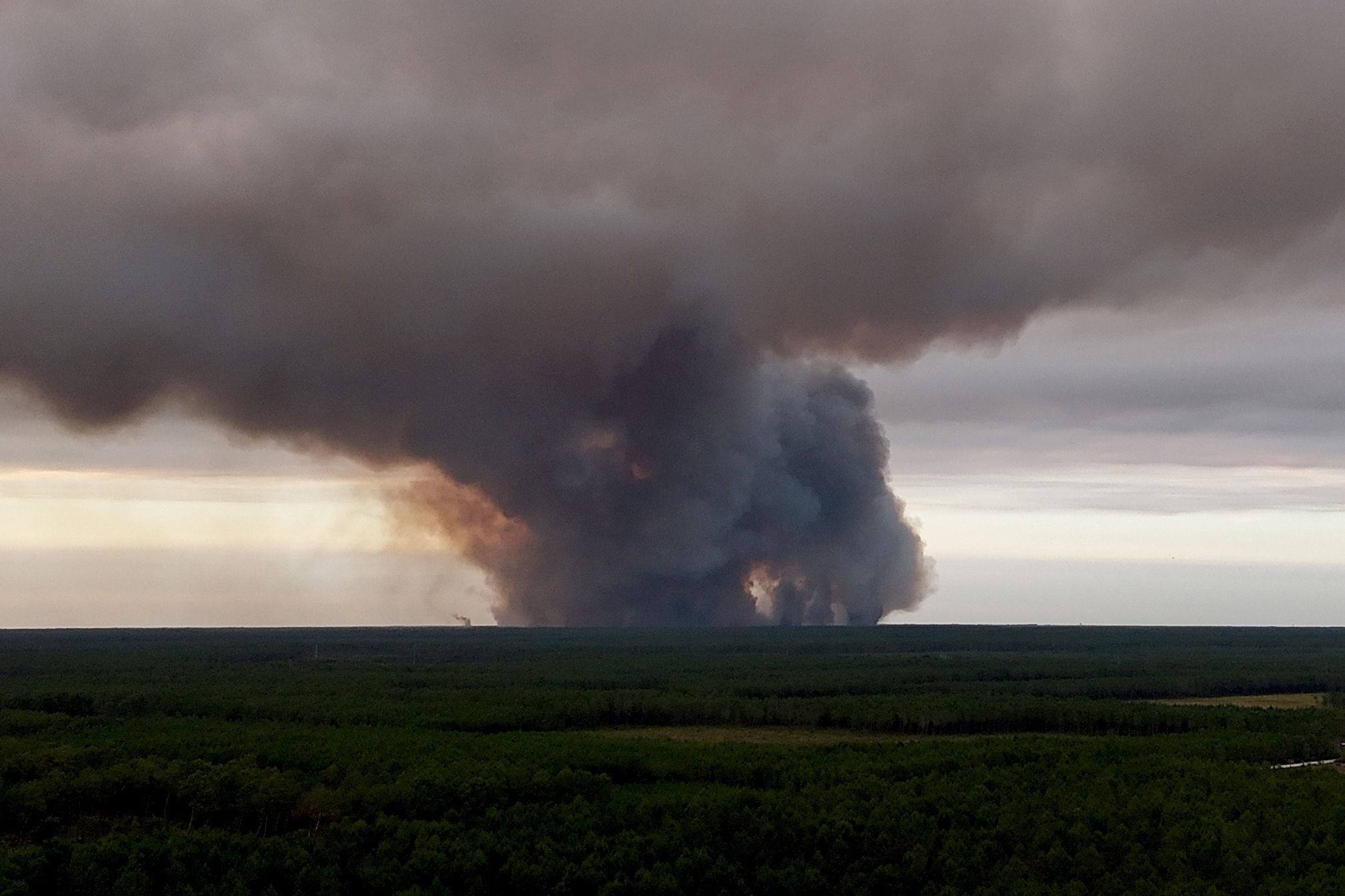 Dichter Rauch steigt über einem brennenden Wald während eines großen Waldbrandes in Südwestfrankreich auf.