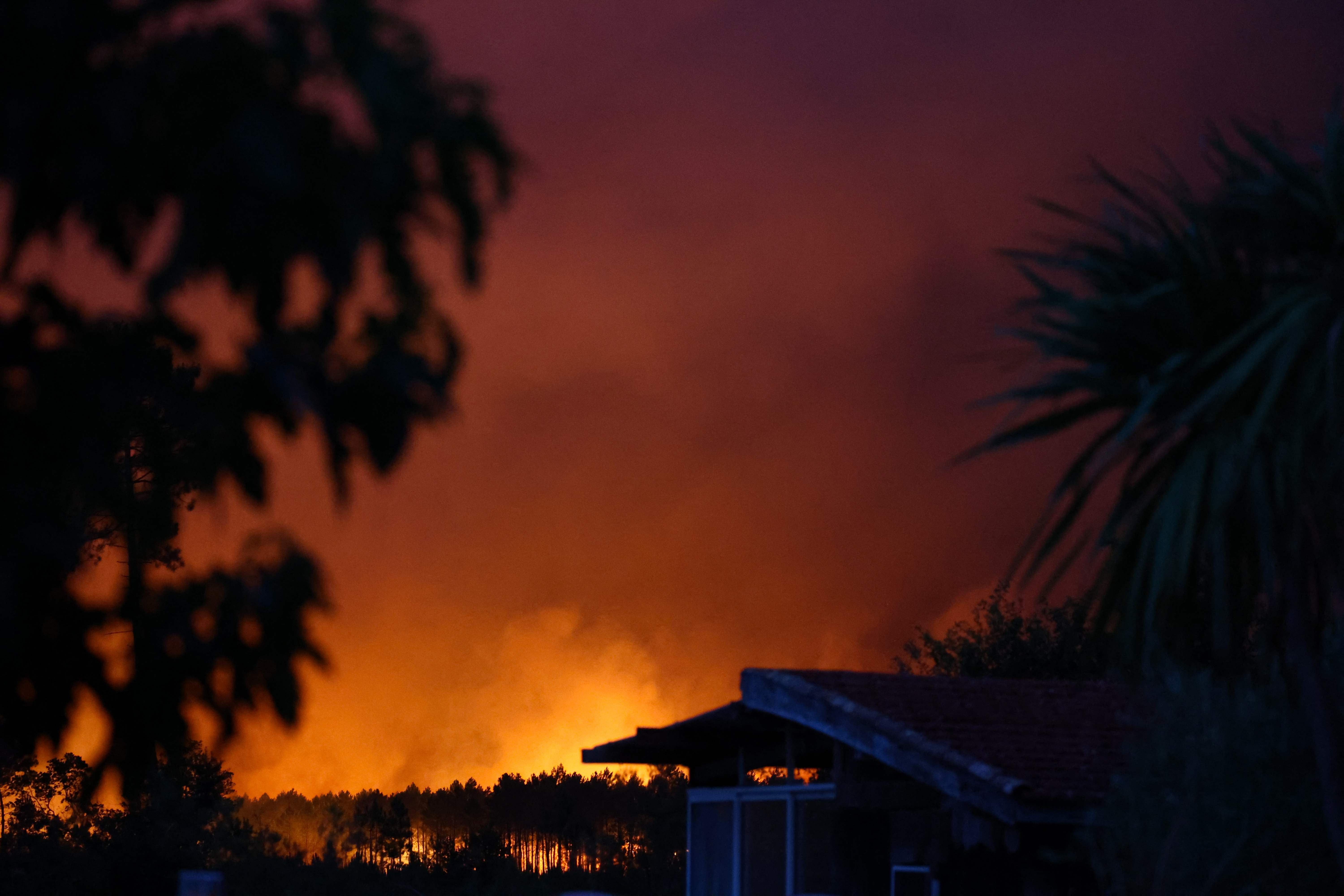 Waldbrand mit lodernden Flammen nahe Wohnhäusern bei Nacht, dichter Rauch am Himmel.