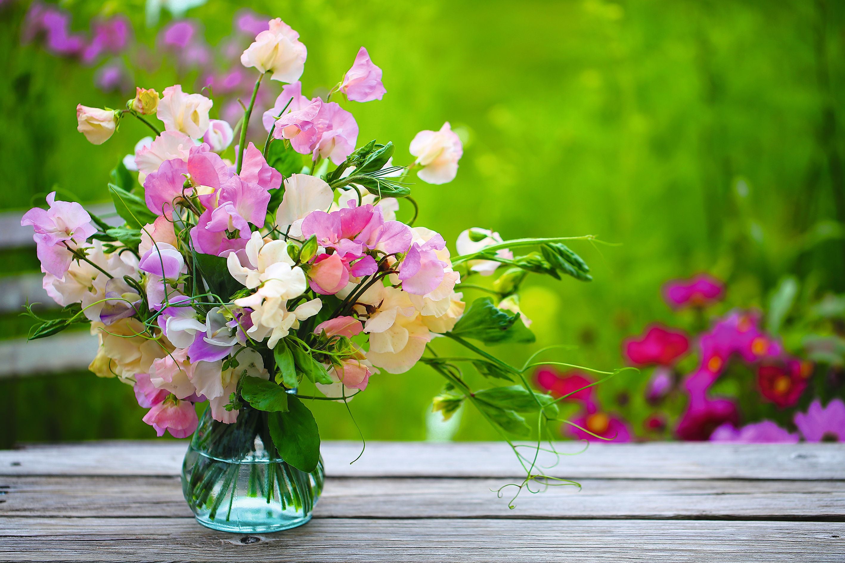 Strauß aus rosa und weißen Blumen in einer Glasvase auf einem Holztisch im Garten.