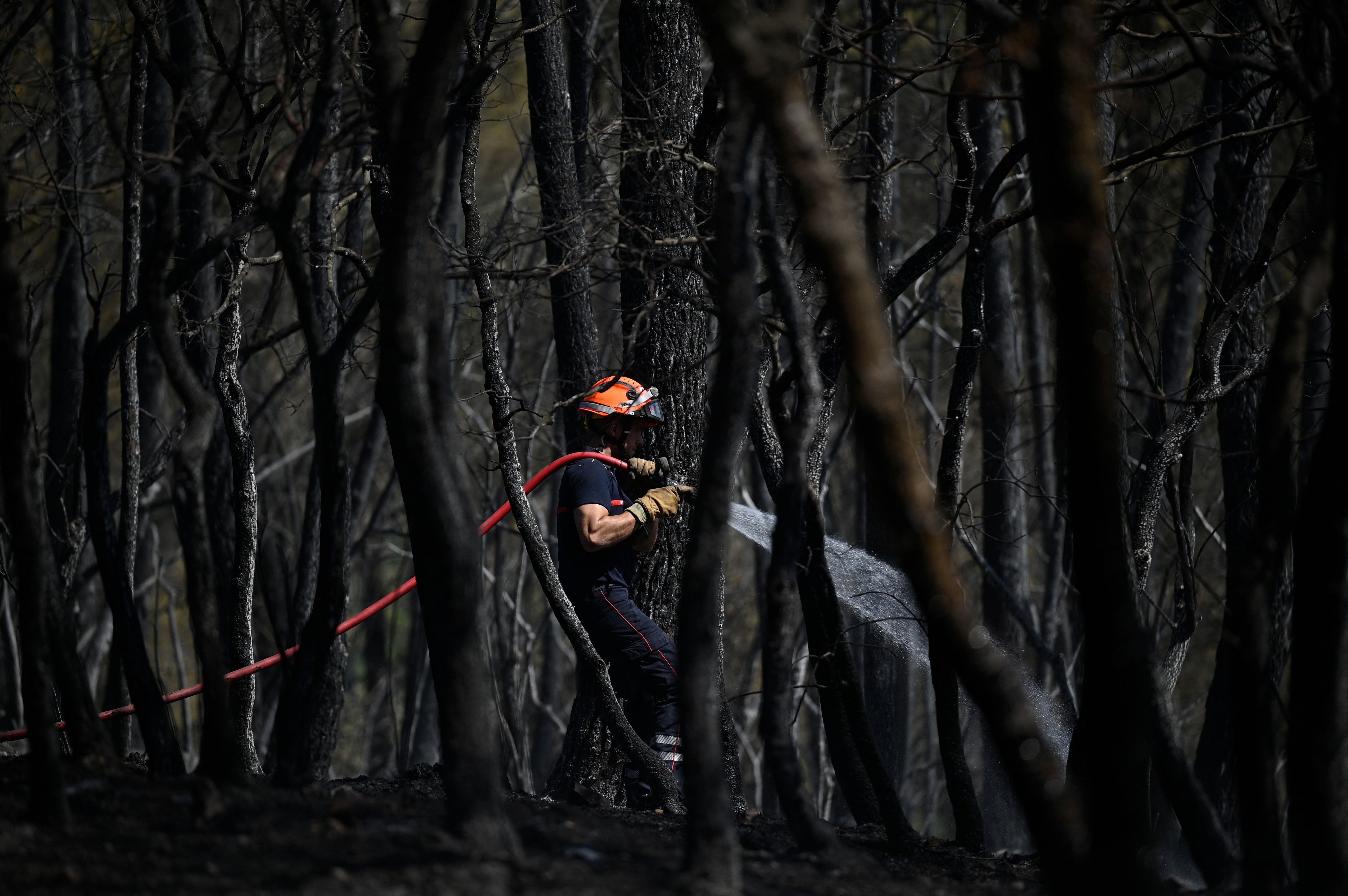Ein Feuerwehrmann löscht mit einem Schlauch ein verbranntes Waldstück nach einem Waldbrand.