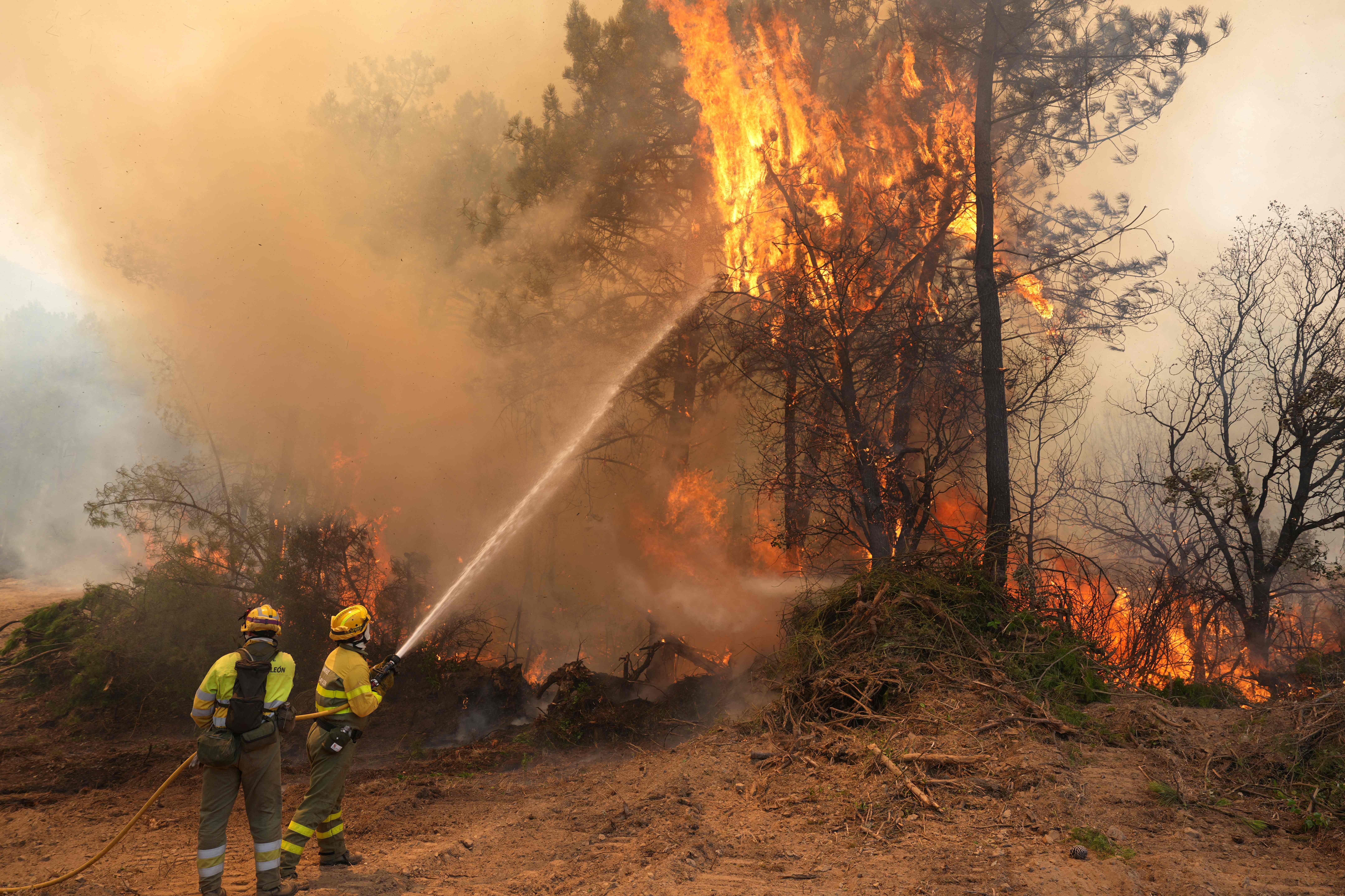 Feuerwehrleute bekämpfen einen großen Waldbrand mit Wasserschlauch, dichter Rauch steigt auf.