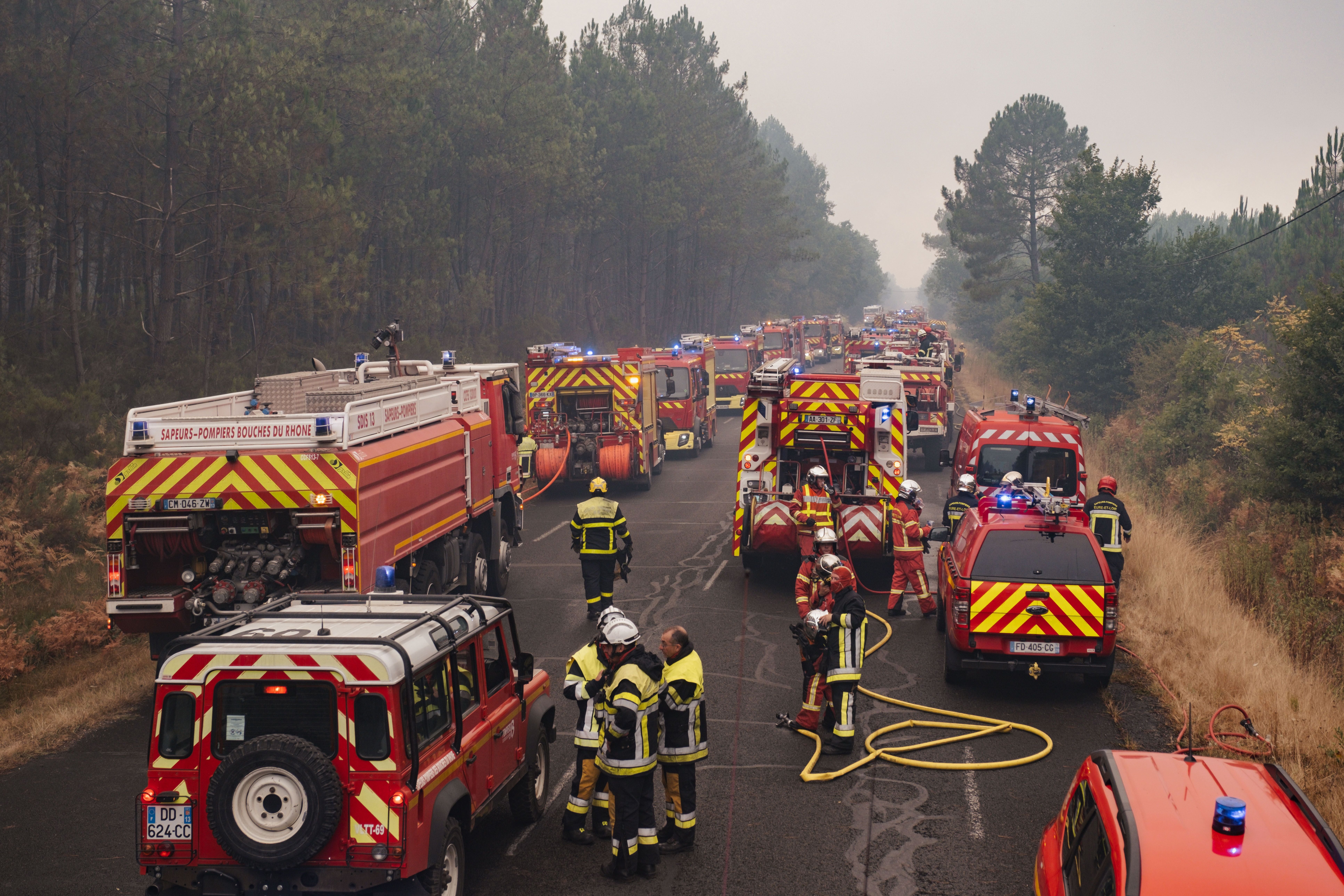 Viele Feuerwehrleute und Einsatzfahrzeuge stehen auf einer von Wald gesäumten Straße im Einsatz.