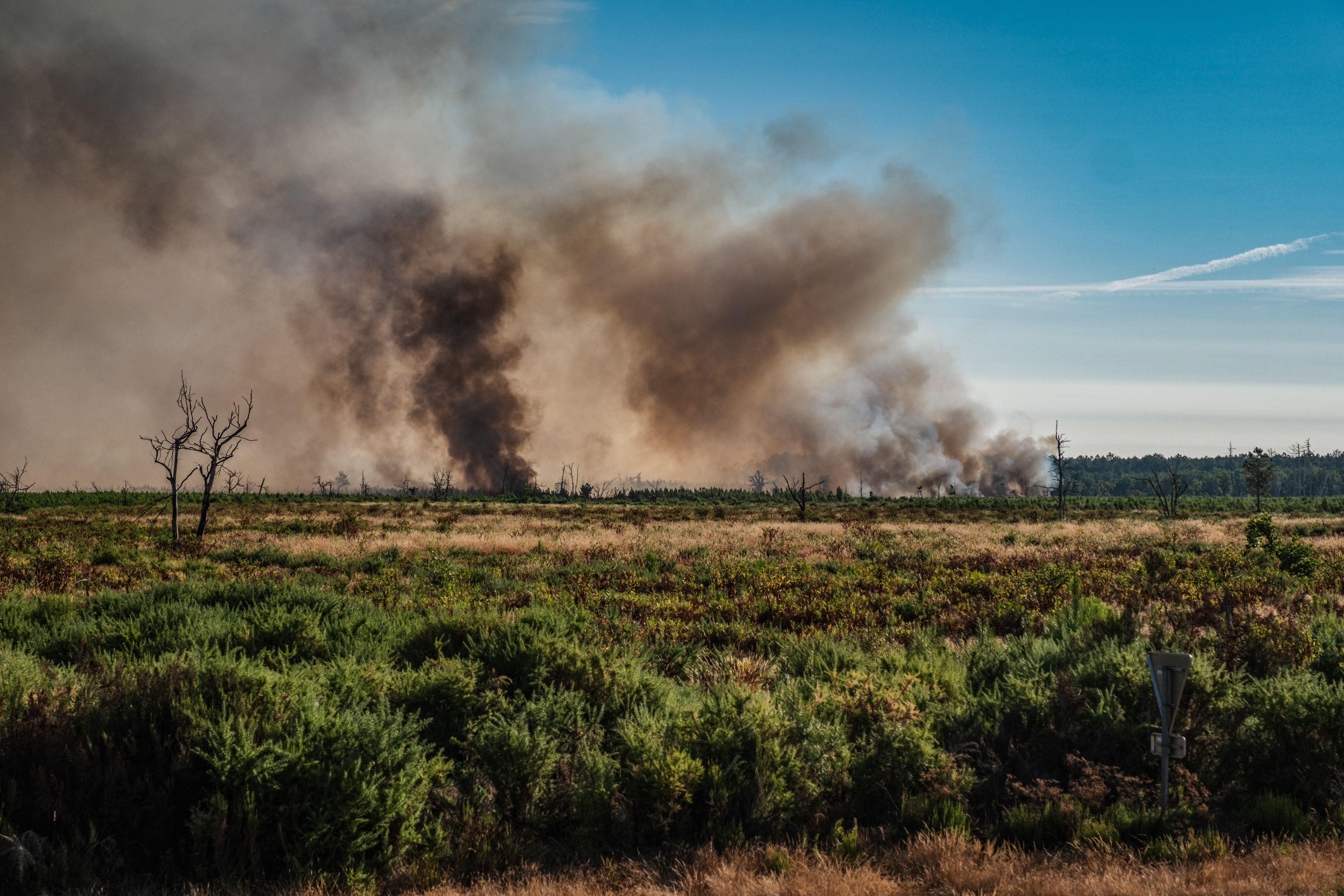 Dichter Rauch steigt von einem Waldbrand über einer bewachsenen Landschaft in Südwestfrankreich auf.