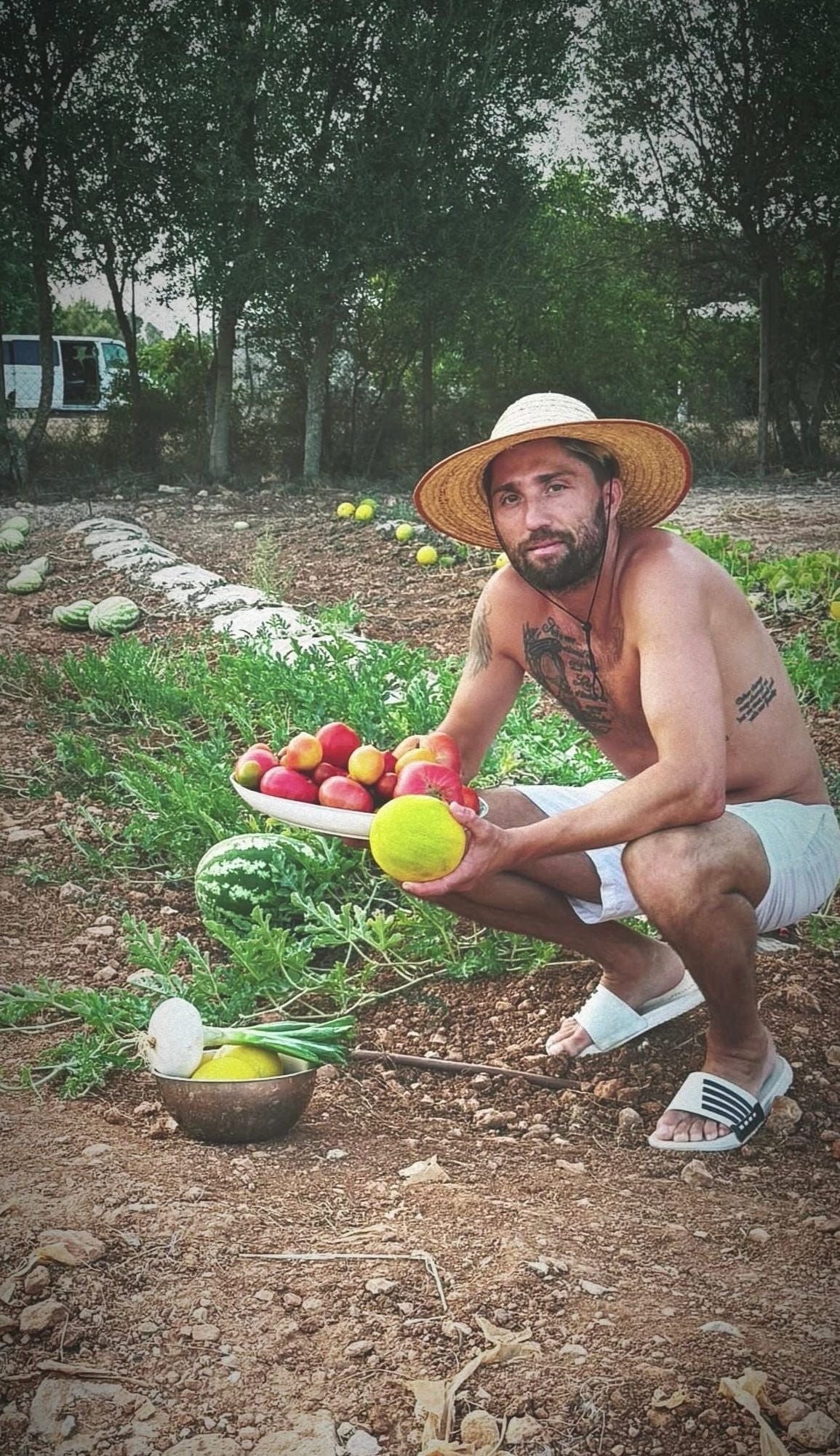 Ein Mann mit Strohhut kniet im Gemüsegarten und hält frisches Obst und Gemüse.