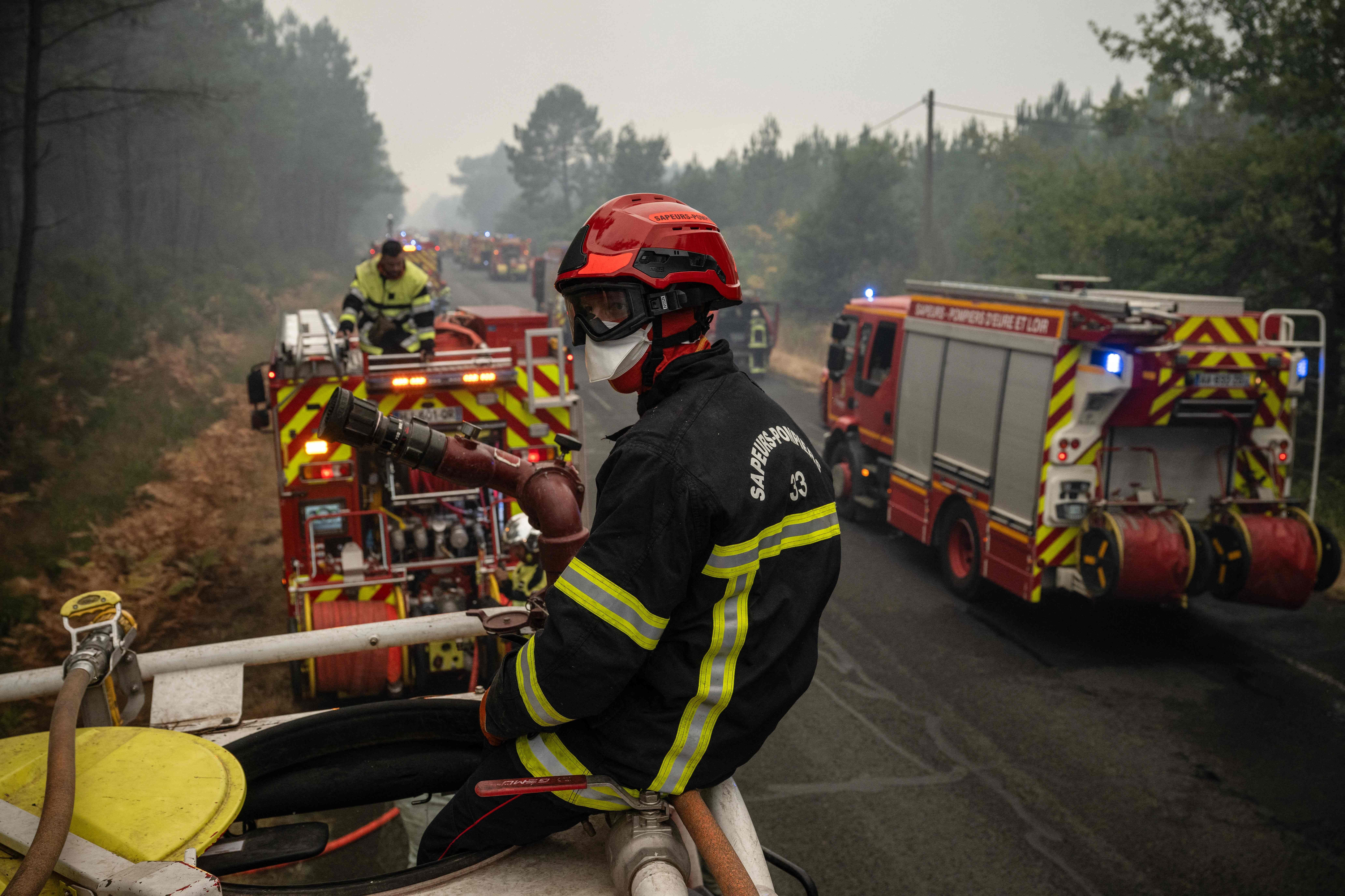Feuerwehrleute bekämpfen einen Waldbrand, mehrere Einsatzfahrzeuge stehen auf der Straße.