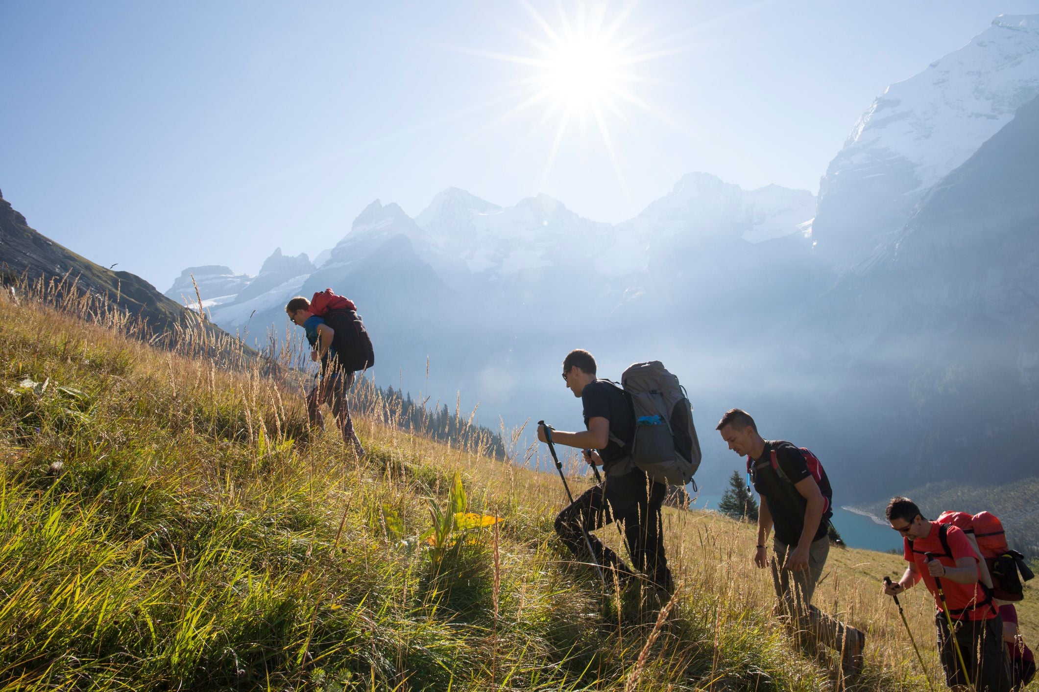Vier Wanderer steigen bei Sonnenschein bergauf, im Hintergrund schneebedeckte Berge.