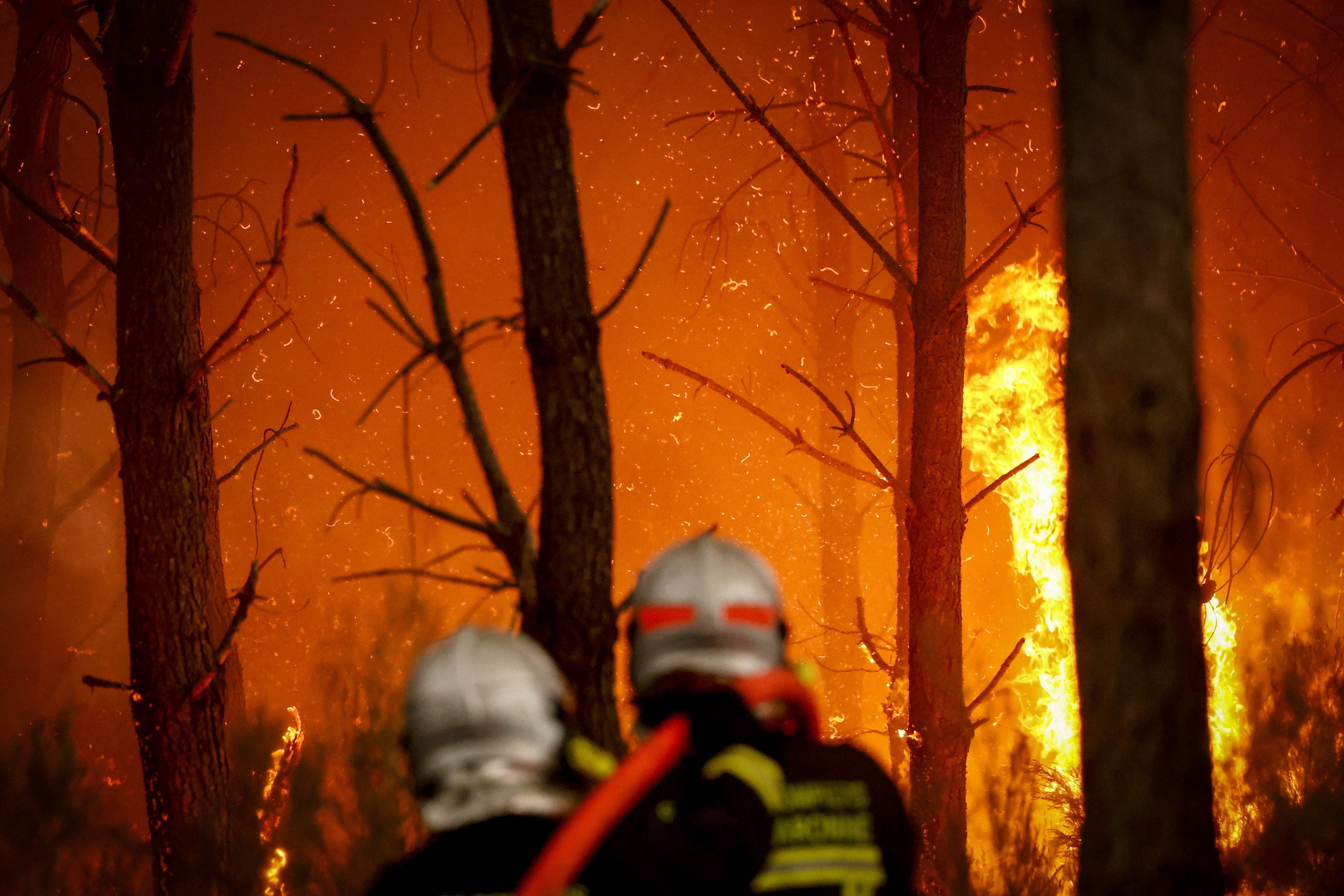 Zwei Feuerwehrleute bekämpfen einen großen Waldbrand bei Nacht zwischen brennenden Bäumen.