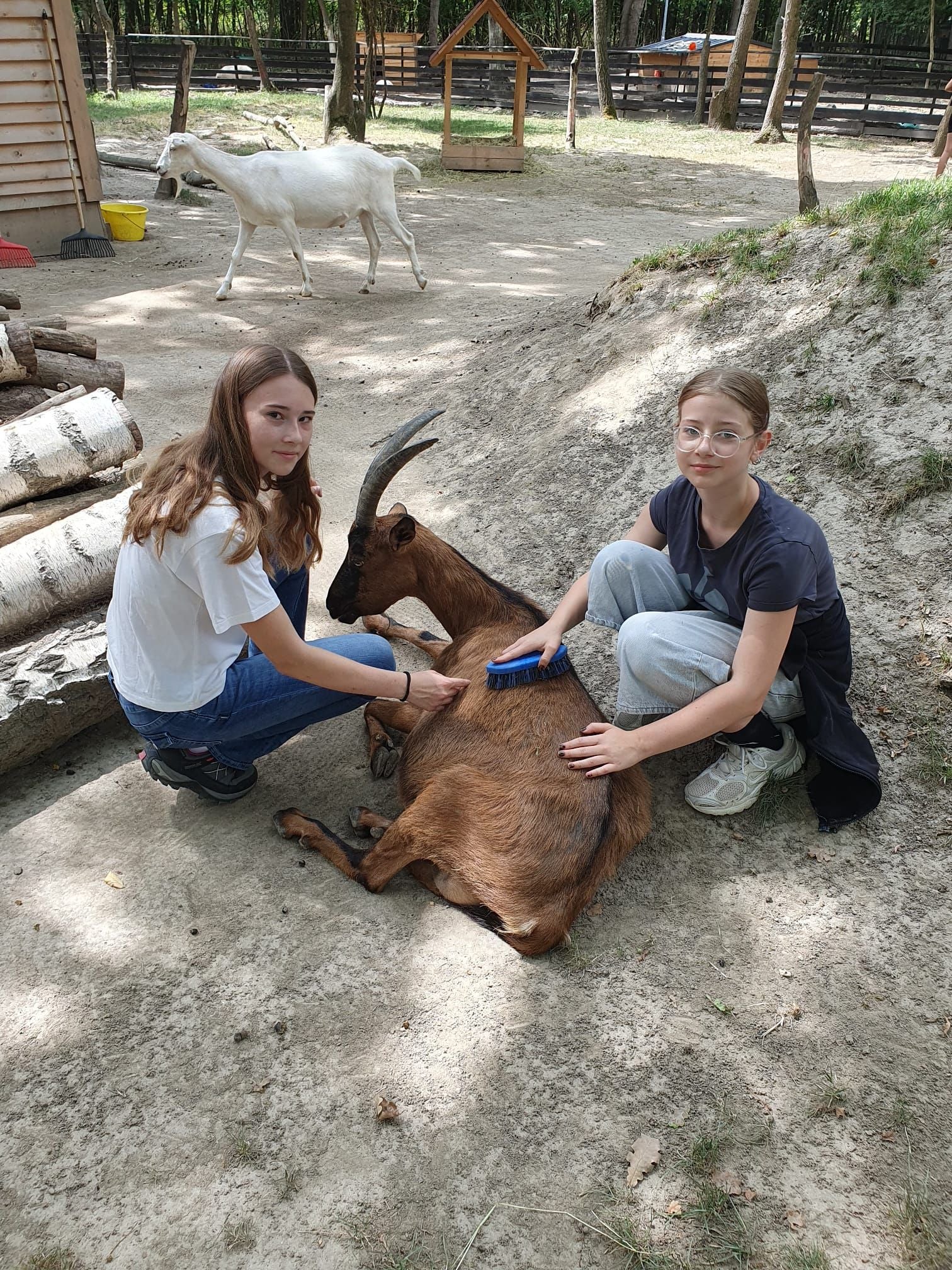 Wahre Tierschutz-Champions.