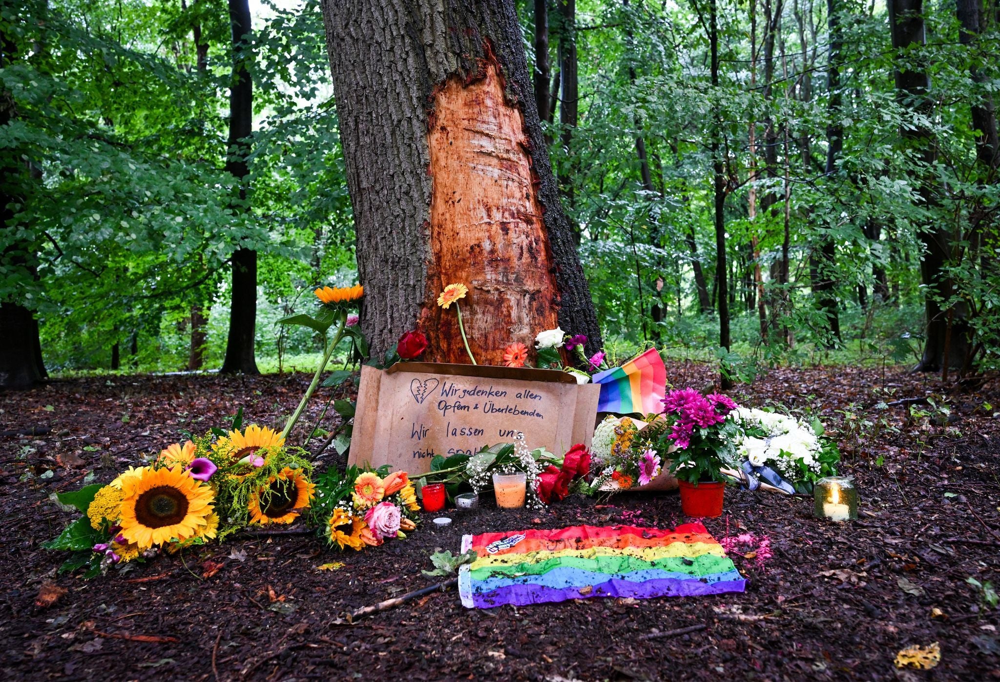 Berlin: Blumen, Kerzen und die Botschaft "Wir gedenken aller Opfer und Überlebenden" sind am Morgen an einem Baum mit beschädigter Rinde zu sehen, wo ein Fahrzeug am Rande des Christopher Street Day in eine Menschenmenge gefahren war.