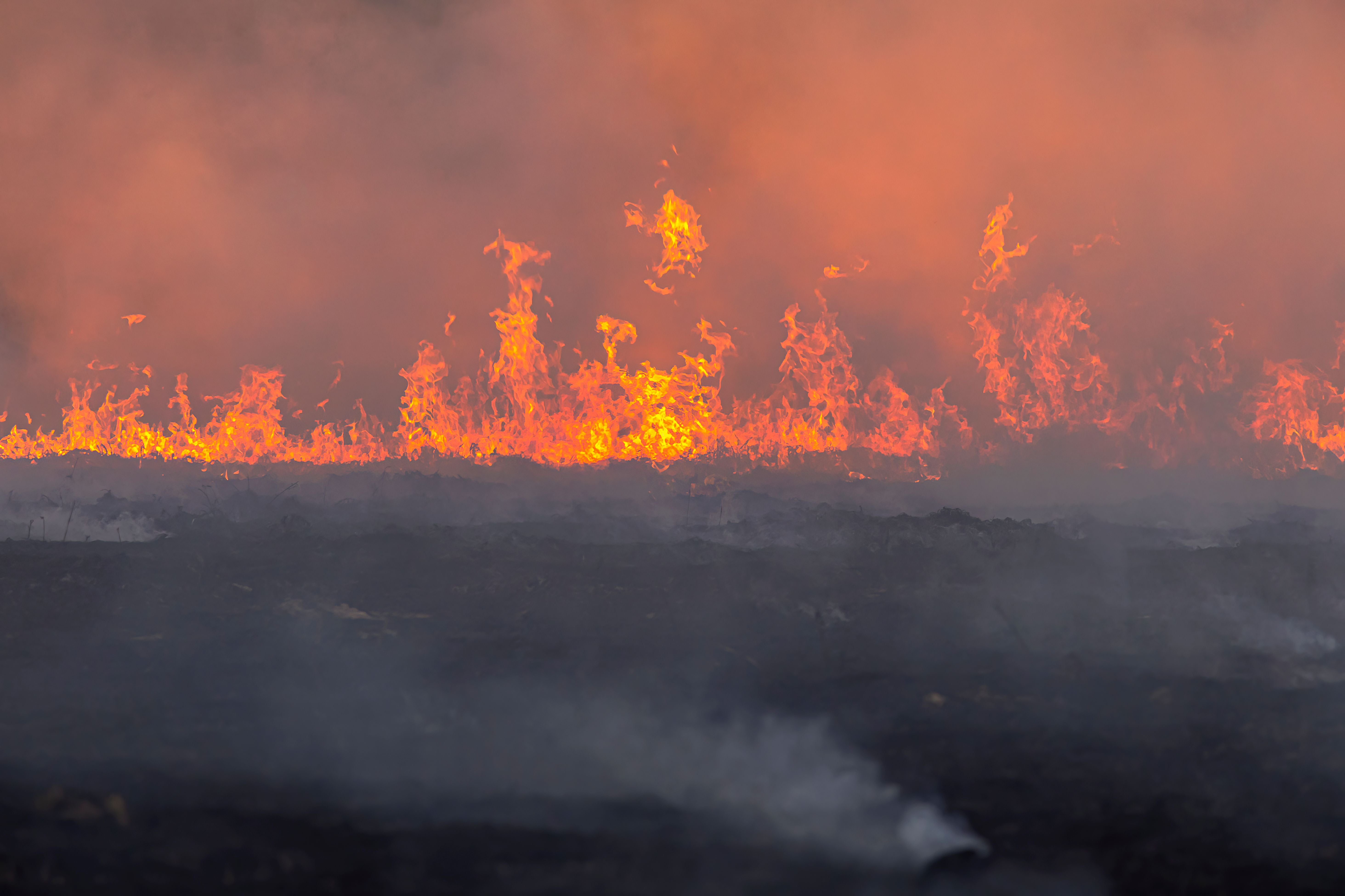Lodernde Flammen und dichter Rauch bei einem großflächigen Brand unter orangefarbenem Himmel.