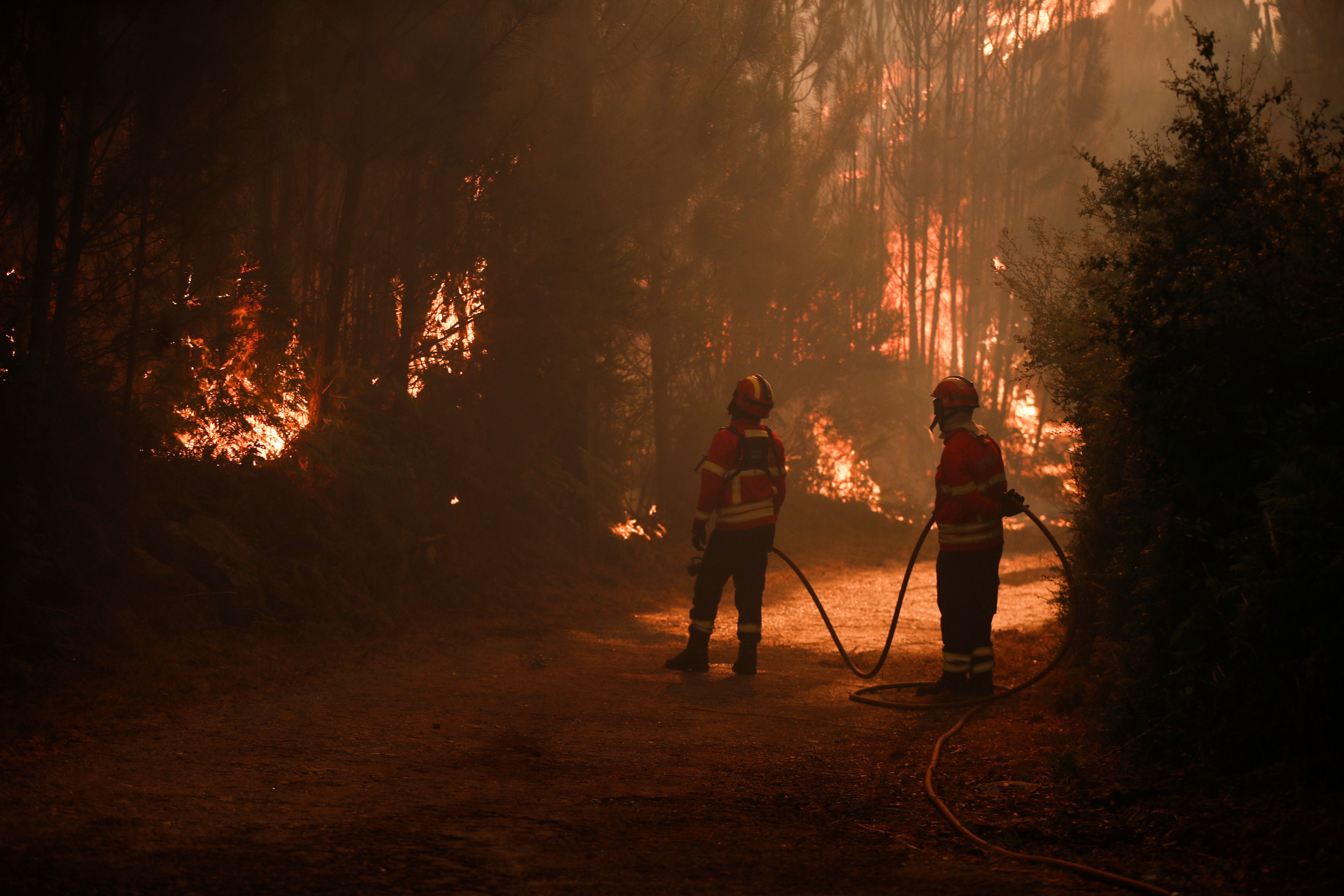 Zwei Feuerwehrleute bekämpfen einen Waldbrand mit Schläuchen im dunklen, rauchigen Wald.