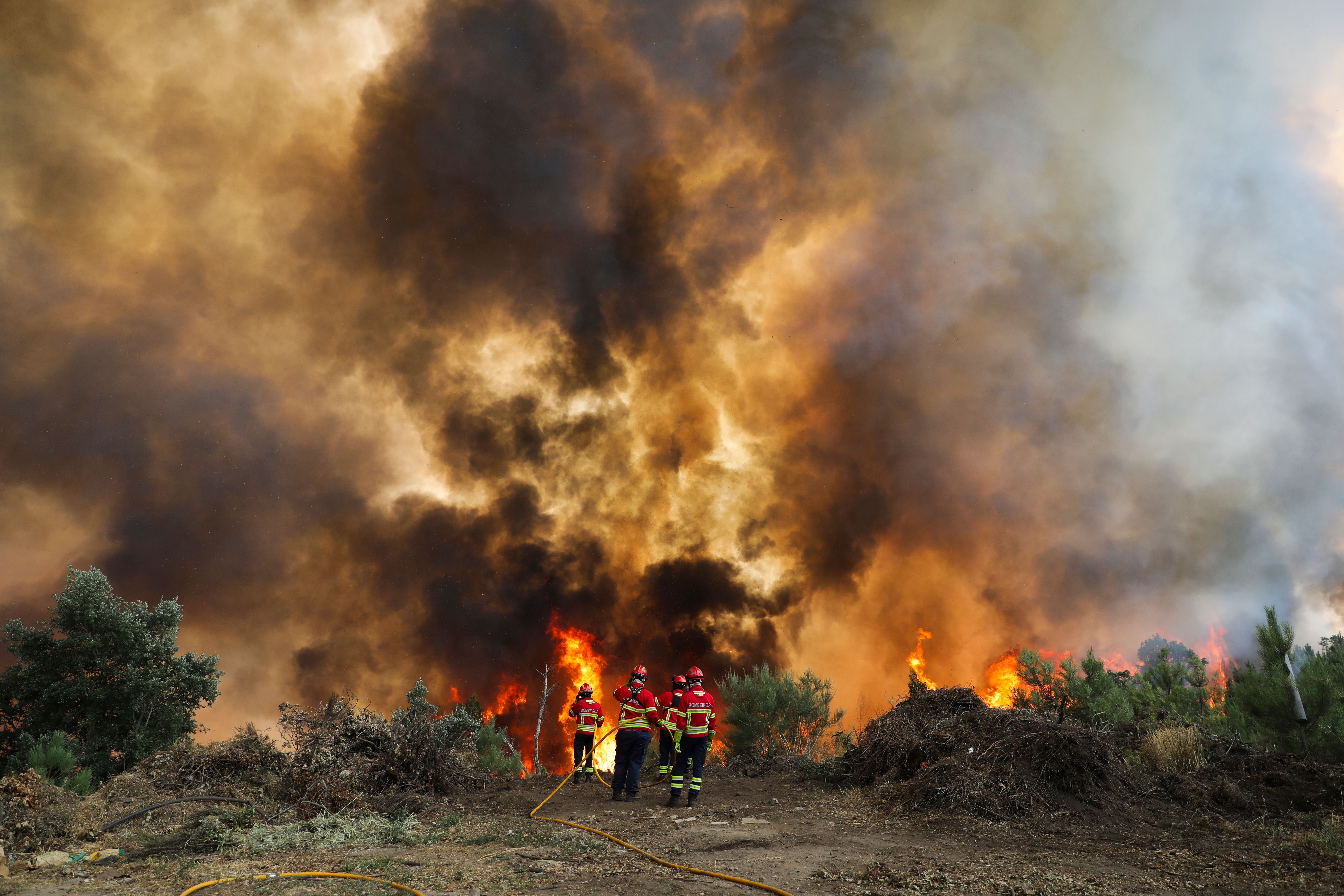 Feuerwehrleute bekämpfen einen großen Waldbrand mit dichten Rauchwolken und Flammen.