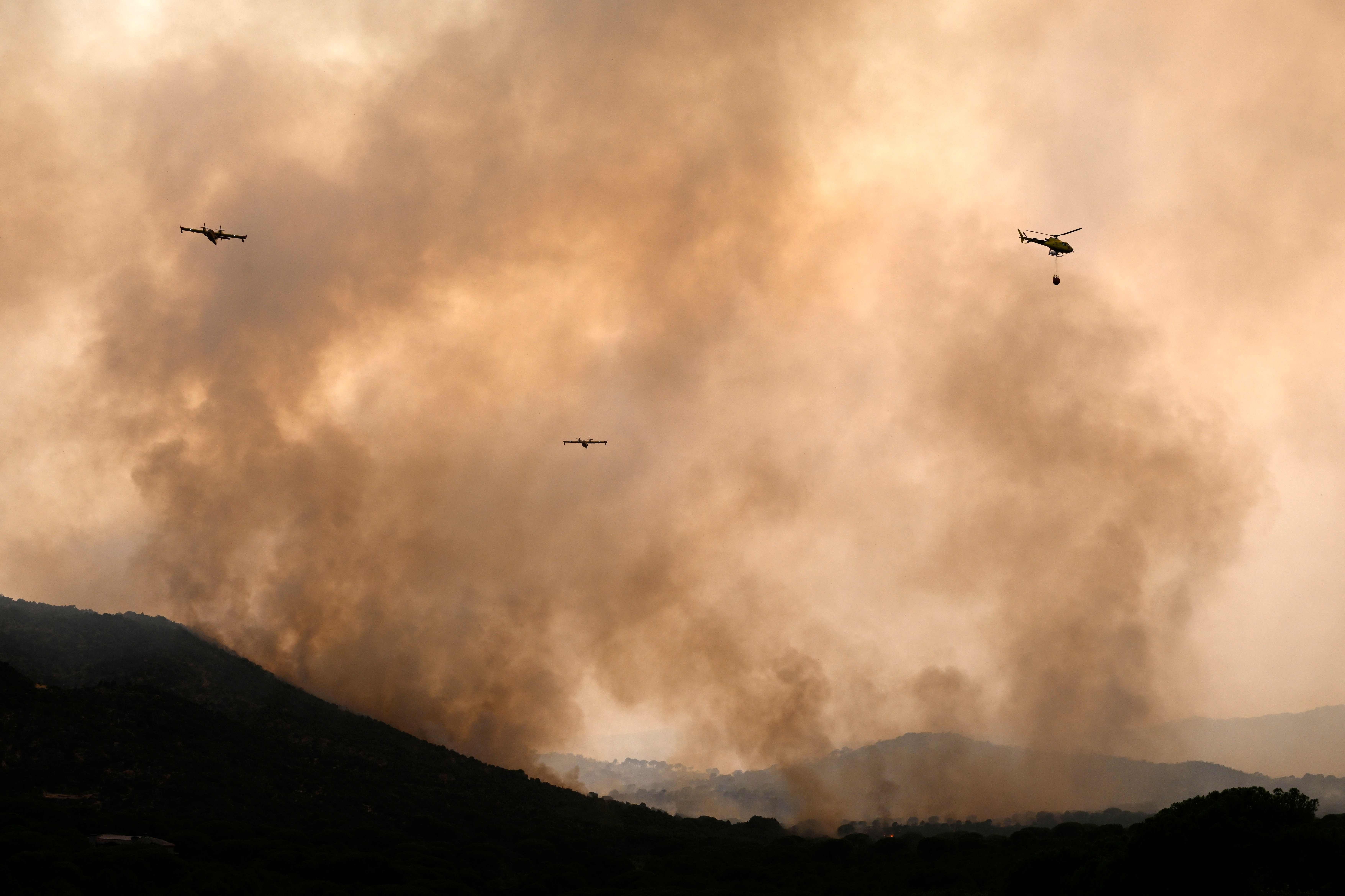Löschflugzeuge bekämpfen einen Waldbrand, dicker Rauch steigt über bewaldeten Hügeln auf.